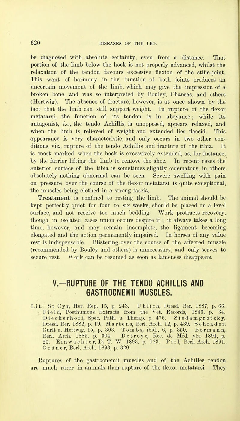 be diagnosed with absolute certainty, even from a distance. That portion of the Hmb below the hock is not properly advanced, whilst the relaxation of the tendon favours excessive flexion of the stifle-joint. This want of harmony in the function of both joints produces an uncertain movement of the limb, which may give the impression of a broken bone, and was so interpreted by Bouley, Chansas, and others (Hertwig). The absence of fracture, however, is at once shown by the fact that the limb can still support weight. In rupture of the flexor metatarsi, the function of its tendon is in abeyance ; while its antagonist, i.e., the tendo Achillis, is unopposed, appears relaxed, and when the limb is relieved of weight and extended lies flaccid. This appearance is very characteristic, and only occurs in two other con- ditions, viz., rupture of the tendo Achillis and fracture of the tibia. It is most marked when the hock is excessively extended, as, for instance, by the farrier lifting the limb to remove the shoe. In recent cases the anterior surface of the tibia is sometimes slightly oedematous, in others absolutely nothing abnormal can be seen. Severe swelling with pain on pressure over the course of the flexor metatarsi is quite exceptional, the muscles being clothed in a strong fascia. Treatment is confined to resting the limb. The animal should be kept perfectly quiet for four to six weeks, should be placed on a level surface, and not receive too much bedding. Work protracts recovery, though in isolated cases union occurs despite it ; it always takes a long time, however, and may remain incomplete, the ligament becoming elongated and the action permanently impaired. In horses of any value rest is indispensable. Blistering over the course of the affected muscle (recommended by Bouley and others) is unnecessary, and only serves tO' secure rest. Work can be resumed as soon as lameness disappears. V.-RUPTURE OF THE TENDO ACHILLIS AND GASTROGNEMII MUSCLES. Lit.: St Cyr, Her. Eep. 15, p. 243. Uhlich, Dresd. Ber. 1887, p. 66.. Field, Posthumous Extracts from the Vet. Records, 1843, 34. Dieckerhoff, Spec. Path. u. Therap. p. 476. Siedamgrotzky, Dresd. Ber. 1882, p. 19. Martens, Berl. Arch. 12, p. 439. Schrader, Gurlt u. Hei'twig. 15, p. 303. Tombs, ibid., 6, p. 350. Bormann, Berl. Arch. 1885, p. 304. Detroye, Eec. de Med. vet. 1891, p. 20. Einwiichter, D. T. W. 1893, p. 123. Pirl, Berl. Arch. 1891. Grliner, Berl. Arch. 1893, p. 320. Euptures of the gastrocnemii muscles and of the Achilles tendon are much rarer in animals than rupture of the flexor metatarsi. They