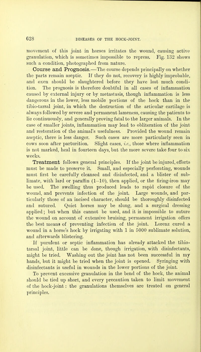 movement of this joint in horses irritates the wound, causing active granulation, which is sometimes impossible to repress, Fig. 132 shows such a condition, photographed from nature. Course and Prognosis.—The course depends principally on whether the parts remain aseptic. If they do not, recovery is highly improbable, and oxen should be slaughtered before they have lost much condi- tion. The prognosis is therefore doubtful in all cases of inflammation caused by external injury or by metastasis, though inflammation is less dangerous in the lower, less mobile portions of the hock than in the tibio-tarsal joint, in which the destruction of the articular cartilage is always followed by severe and permanent lameness, causing the patients to lie continuously, and generally proving fatal to the larger animals. In the case of smaller joints, inflammation may lead to obliteration of the joint and restoration of the animal's usefulness. Provided the wound remain aseptic, there is less danger. Such cases are more particularly seen in cows soon after parturition. Slight cases, i.e., those where inflammation is not marked, heal in fourteen days, but the more severe take four to six weeks. Treatment follows general principles. If the joint be injured, efforts must be made to preserve it. Small, and especially perforating, wounds must first be carefully cleansed and disinfected, and a blister of sub- limate, with lard or paraffin (I—IO), then applied, or the firing-iron may be used. The swelling thus produced leads to rapid closure of the wound, and prevents infection of the joint. Large wounds, and par- ticularly those of an incised character, should be thoroughly disinfected and sutured. Quiet horses may be slung, and a surgical dressing applied; but when this cannot be used, and it is impossible to suture the wound on account of extensive bruising, permanent irrigation offers the best means of preventing infection of the joint. Lorenz cured a wound in a horse's hock by irrigating with 1 in 5000 sublimate solution, and afterwards blistering. If purulent or septic inflammation has already attacked the tibio- tarsal joint, little can be done, though irrigation, with disinfectants, might be tried. Washing out the joint has not been successful in my hands, but it might be tried when the joint is opened. Syringing with disinfectants is useful in wounds in the lower portions of the joint. To prevent excessive granulation in the bend of the hock, the animal should be tied up short, and every precaution taken to limit movement of the hock-joint : the granulations themselves are treated on general principles.