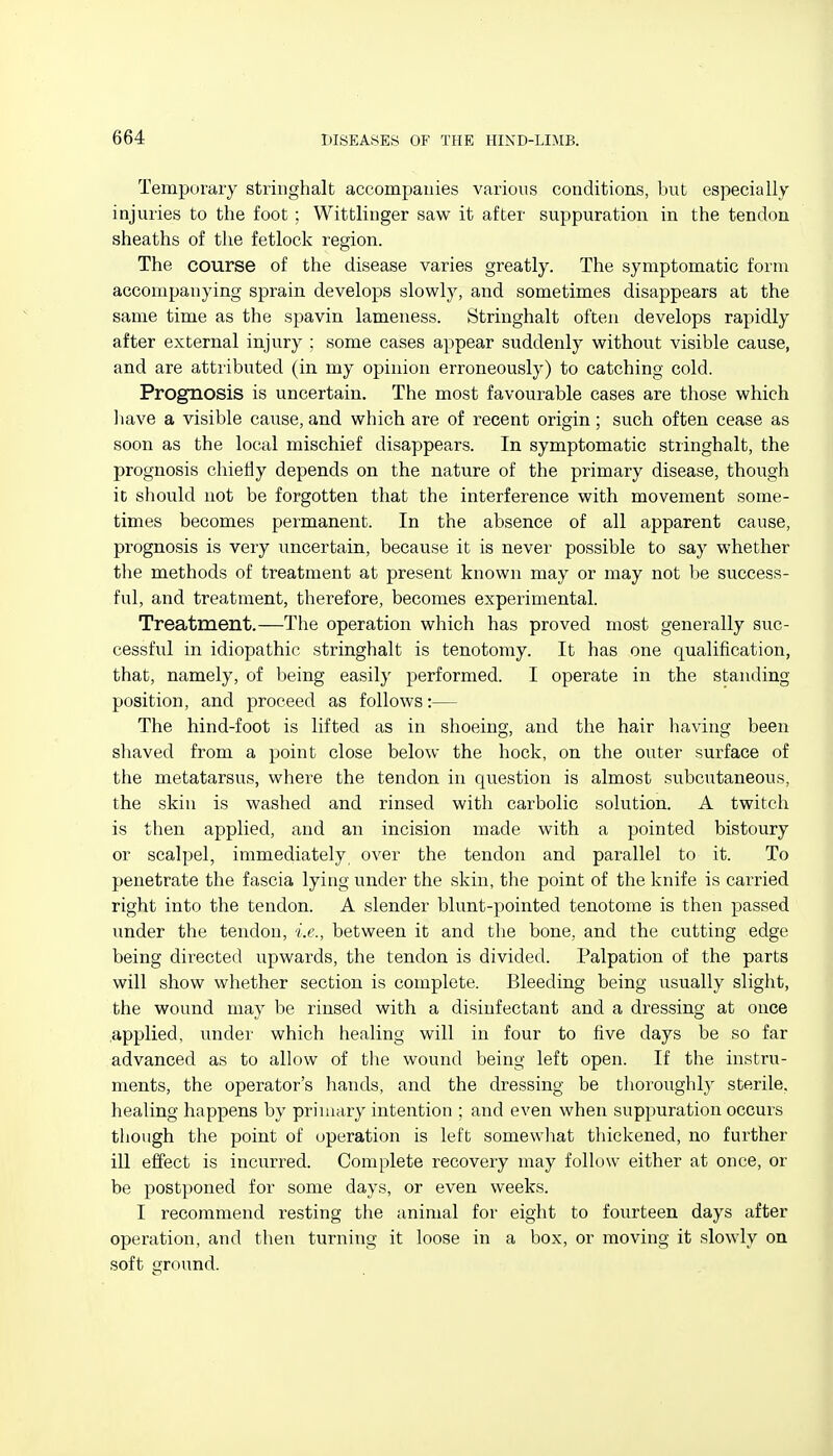 Tempuraiy striiighalt accompanies various conditions, but especially injuries to the foot; Wittliuger saw it after suppuration in the tendon sheaths of the fetlock region. The course of the disease varies greatly. The symptomatic form accompanying sprain develops slowly, and sometimes disappears at the same time as the spavin lameness. Stringhalt often develops rapidly after external injury : some cases appear suddenly without visible cause, and are attributed (in my opinion erroneously) to catching cold. Prognosis is uncertain. The most favourable cases are those which have a visible cause, and which are of recent origin; such often cease as soon as the local mischief disappears. In symptomatic stringhalt, the prognosis chietiy depends on the nature of the primary disease, though it should not be forgotten that the interference with movement some- times becomes permanent. In the absence of all apparent cause, prognosis is very uncertain, because it is never possible to say whether the methods of treatment at present known may or may not lie success- ful, and treatment, therefore, becomes experimental. Treatment.—The operation which has proved most generally suc- cessful in idiopathic stringhalt is tenotomy. It has one qualification, that, namely, of being easily performed. I operate in the standing position, and proceed as follows:— The hind-foot is lifted as in shoeing, and the hair having been shaved from a point close below the hock, on the outer surface of the metatarsus, where the tendon in question is almost subcutaneous, the skin is washed and rinsed with carbolic solution. A twitch is then applied, and an incision made with a pointed bistoury or scalpel, immediately over the tendon and parallel to it. To penetrate the fascia lying under the skin, the point of the knife is carried right into the tendon. A slender blunt-pointed tenotome is then passed under the tendon, i.e., between it and the bone, and the cutting edge being directed upwards, the tendon is divided. Palpation of the parts will show whether section is complete. Bleeding being usually slight, the wound may be rinsed with a disinfectant and a dressing at once .applied, under which healing will in four to five days be so far advanced as to allow of the wound being left open. If the instru- ments, the operator's liands, and the dressing be thoroughly sterile, healing happens by primary intention ; and even when suppuration occurs though the point of operation is left somewhat thickened, no further ill effect is incurred. Complete recovery may follow either at once, or be postponed for some days, or even weeks. I recommend resting the animal for eight to fourteen days after operation, and then turning it loose in a box, or moving it slowly ou soft ground.