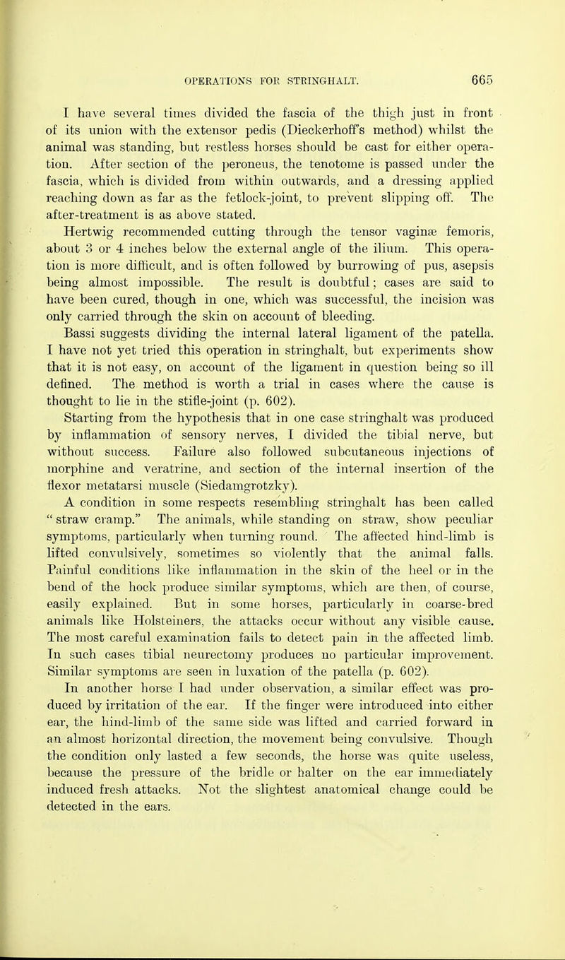 I have several times divided the fascia of the thigh just in front of its union with the extensor pedis (Dieckerhoff's method) whilst the animal was standing, but restless horses should be cast for either opera- tion. After section of the peroneus, the tenotome is passed under the fascia, which is divided from within outwards, and a dressing applied reaching down as far as the fetlock-joint, to prevent slipping off. The after-treatment is as above stated. Hertwig recommended cutting through the tensor vaginae femoris, about 3 or 4 inches below the external angle of the ilium. This opera- tion is more difficult, and is often followed by burrowing of pus, asepsis being almost impossible. The result is doubtful; cases are said to have been cured, though in one, which was successful, the incision was only carried through the skin on account of bleeding. Bassi suggests dividing the internal lateral ligament of the patella. I have not yet tried this operation in stringhalt, but experiments show that it is not easy, on account of the ligament in question being so ill defined. The method is worth a trial in cases where the cause is thought to lie in the stifle-joint (p. 602). Starting from the hypothesis that in one case stringhalt was produced by inflammation of sensory nerves, I divided the tibial nerve, but without success. Failure also followed subcutaneous injections of morphine and veratrine, and section of the internal insertion of the flexor metatarsi muscle (Siedamgrotzlcy). A condition in some respects reseinbling stringhalt has been called  straw cramp. The animals, while standing on straw, show peculiar symptoms, particularly when turning round. The affected hind-limb is lifted convulsively, sometimes so violently that the animal falls. Painful conditions like inflammation in the skin of the heel or in the bend of the hock produce similar symptoms, which are then, of course, easily explained. But in some horses, particularly in coarse-bred animals like Holsteiners, the attacks occur without any visible cause. The most careful examination fails to detect pain in the affected limb. In such cases tibial neurectomy produces no particular improvement. Similar symptoms are seen in luxation of the patella (p. 602). In another horse I had under observation, a similar effect was pro- duced by irritation of the ear. If the finger were introduced into either ear, the hind-limb of the same side was lifted and carried forward in an almost horizontal direction, the movement being convulsive. Though the condition only lasted a few seconds, the horse was quite useless, because the pressure of the bridle or halter on the ear immediately induced fresh attacks. Not the slightest anatomical change could be detected in the ears.