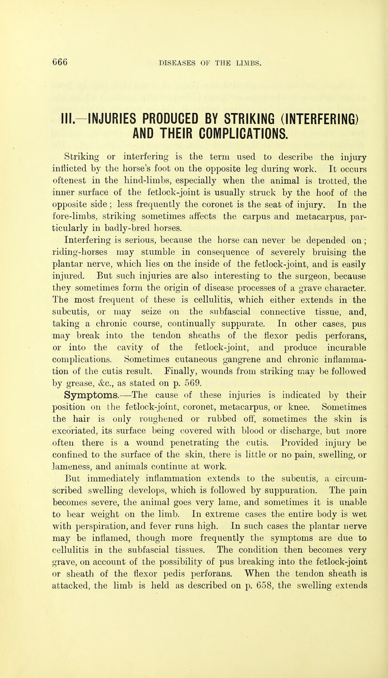 Ill.-INJURIES PRODUCED BY STRIKING (INTERFERING) AND THEIR COIVIPLICATIONS. Striking or interfering is the term used to describe the injury intiicted by the horse's foot on the opposite leg during worls:. It occurs oftenest in the hind-limbs, especially when the animal is trotted, the inner surface of the fetlock-joint is usually struck by the hoof of the opposite side; less frequently the coronet is the seat of injury. In the fore-limbs, striking sometimes affects the carpus and metacarpus, par- ticularly in badly-bred horses. Interfering is serious, because the horse can never be depended on; riding-horses may stumble in consequence of severely bruising the plantar nerve, which lies on the inside of the fetlock-joint, and is easily injured. But such injuries are also interesting to the surgeon, because they sometimes form the origin of disease processes of a grave character. The most frequent of these is cellulitis, which either extends in the subcutis, or may seize on the subfascial connective tissue, and, taking a chronic course, continually suppurate. In other cases, pus may break into the tendon sheaths of the flexor pedis perforans, or into the cavity of the fetlock-joint, and produce incurable complications. Sometimes cutaneous gangrene and chronic inflamma- tion of the cutis result. Finally, wounds from striking may he followed by grease, &c., as stated on p. 569. Symptoms.—The cause of these injuries is indicated by their position on the fetlock-joint, coronet, metacarpus, or knee. Sometimes the hair is only roughened or rubbed off, sometimes the skin is excoriated, its surface being covered with blood or discharge, but more often there is a wound penetrating the cutis. Provided injuiy be confined to the surface of the skin, there is little or no pain, swelling, or lameness, and animals continue at work. But immediately inflammation extends to the subcutis, a circum- scribed swelling develops, which is followed by suppuration. The pain becomes severe, the animal goes very lame, and sometimes it is unable to bear weight on the limb. In extreme cases the entire body is wet with perspiration, and fever runs high. In such cases the plantar nerve may be inflamed, though more frequently the symptoms are due to cellulitis in the subfascial tissues. The condition then becomes very grave, on account of the possibility of pus breaking into the fetlock-joint or sheath of the flexor pedis perforans. When the tendon sheath is attacked, the limb is held as described on p. 658, the swelling extends