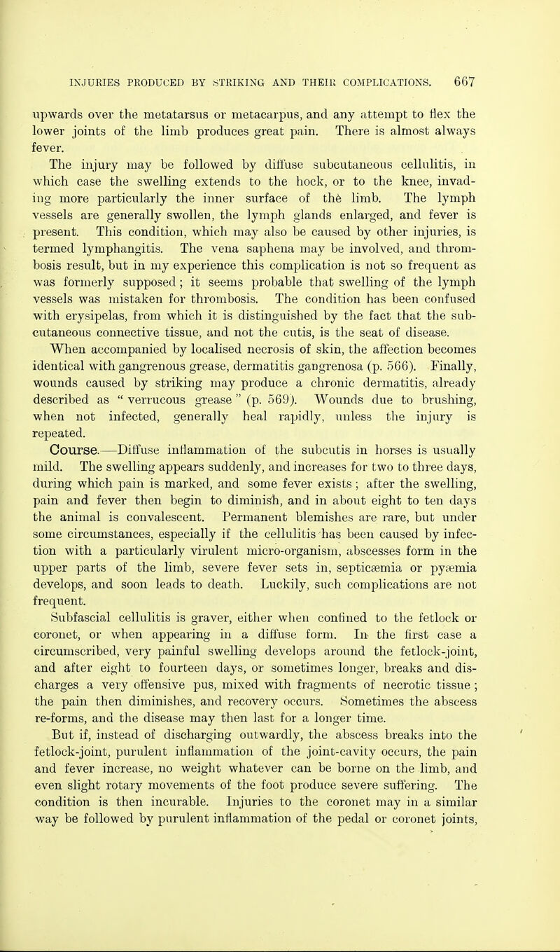 upwards over the metatarsus or metacarpus, and any attempt to tlex the lower joints of the limb produces great pain. There is almost always fever. The injury may be followed by diffuse subcutaneous cellulitis, in which case the swelling extends to the hock, or to the knee, invad- ing more particularly the inner surface of th6 limb. The lymph vessels are generally swollen, the lymph glands enlarged, and fever is present. This condition, which may also be caused by other injuries, is termed lymphangitis. The vena saphena may be involved, and throm- bosis result, but in my experience this complication is not so frequent as was formerly supposed; it seems probable that swelling of the lymph vessels was mistaken for thrombosis. The condition has been confused with erysipelas, from which it is distinguished by the fact that the sub- cutaneous connective tissue, and not the cutis, is the seat of disease. When accompanied by localised necrosis of skin, the affection becomes identical with gangrenous grease, dermatitis gangrenosa (p. 566). Finally, wounds caused by striking may produce a chronic dermatitis, already described as  verrucous grease  (p. 669). Wounds due to brushing, when not infected, generally heal rapidly, unless the injury is repeated. Course.—Diffuse indammation of the subcutis in horses is usually mild. The swelling appears suddenly, and increases for two to three days, during which pain is marked, and some fever exists ; after the swelling, pain and fever then begin to diminish, and in about eight to ten days the animal is convalescent. Permanent blemishes are rare, but under some circumstances, especially if the cellulitis has been caused by infec- tion with a particularly virulent micro-organism, abscesses form in the upper parts of the limb, severe fever sets in, septiceemia or pyfemia develops, and soon leads to death. Luckily, such complications are not frequent. Subfascial cellulitis is graver, either when confined to the fetlock or coronet, or when appearing in a diffuse form. In the first case a circumscribed, very painful swelling develops around the fetlock-joint, and after eight to fourteen days, or sometimes longer, breaks and dis- charges a very offensive pus, mixed with fragments of necrotic tissue ; the pain then diminishes, and recovery occurs. Sometimes the abscess re-forms, and the disease may then last for a longer time. But if, instead of discharging outwardly, the abscess breaks into the fetlock-joint, purulent inflammation of the joint-cavity occurs, the pain and fever increase, no weight whatever can be borne on the limb, and even slight rotary movements of the foot produce severe suffering. The condition is then incurable. Injuries to the coronet may in a similar way be followed by purulent inflammation of the pedal or coronet joints.