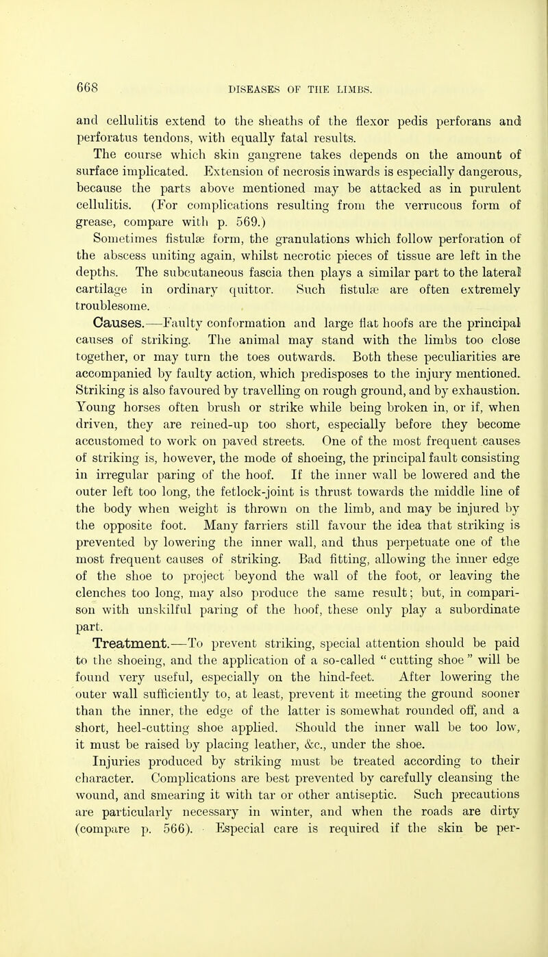 and cellulitis extend to the sheaths of the flexor pedis perforans and perforatus tendons, with equally fatal results. The course which skin gangrene takes depends on the amount of surface implicated. Extension of necrosis inwards is especially dangerous, because the parts above mentioned may be attacked as in purulent cellulitis. (For complications resulting from the verrucous form of grease, compare witli p. 569.) Sometimes fistulse form, the granulations which follow perforation of the abscess imiting again, whilst necrotic pieces of tissue are left in the depths. The subcutaneous fascia then plays a similar part to the lateral cartilage in ordinary quittor. Such fistulfe are often extremely troublesome. Causes.—Faulty conformation and large Hat hoofs are the principal causes of striking. The animal may stand with the limbs too close together, or may turn the toes outwards. Both these peculiarities are accompanied by faulty action, which predisposes to the injury mentioned. Striking is also favoured by travelling on rough ground, and by exhaustion. Young horses often brush or strike while being broken in, or if, when driven, they are reined-up too short, especially before they become- accustomed to work on paved streets. One of the most frequent causes of striking is, however, the mode of shoeing, the principal fault consisting in irregular paring of the hoof. If the inner wall be lowered and the outer left too long, the fetlock-joint is thrust towards the middle line of the body when weight is thrown on the limb, and may be injured by the opposite foot. Many farriers still favour the idea that striking is prevented by lowering the inner wall, and thus perpetuate one of the most frequent causes of striking. Bad fitting, allowing the inner edge of the shoe to project beyond the wall of the foot, or leaving the clenches too long, may also produce the same result; but, in compari- son with unskilful paring of the hoof, these only play a subordinate part. Treatment.—To prevent striking, special attention should be paid to the shoeing, and the application of a so-called  cutting shoe  will be found very useful, especially on the hind-feet. After lowering the outer wall sufficiently to, at least, prevent it meeting the ground sooner than the inner, the edge of the latter is somewhat rounded off, and a short, heel-cutting shoe applied. Should the inner wall be too low, it must be raised by placing leather, &c., under the shoe. Injuries produced by striking must be treated according to their character. Complications are best prevented by carefully cleansing the wound, and smearing it with tar or other antiseptic. Such precautions are particularly necessary in winter, and when the roads are dirty (compare p. 566). Especial care is required if the skin be per-