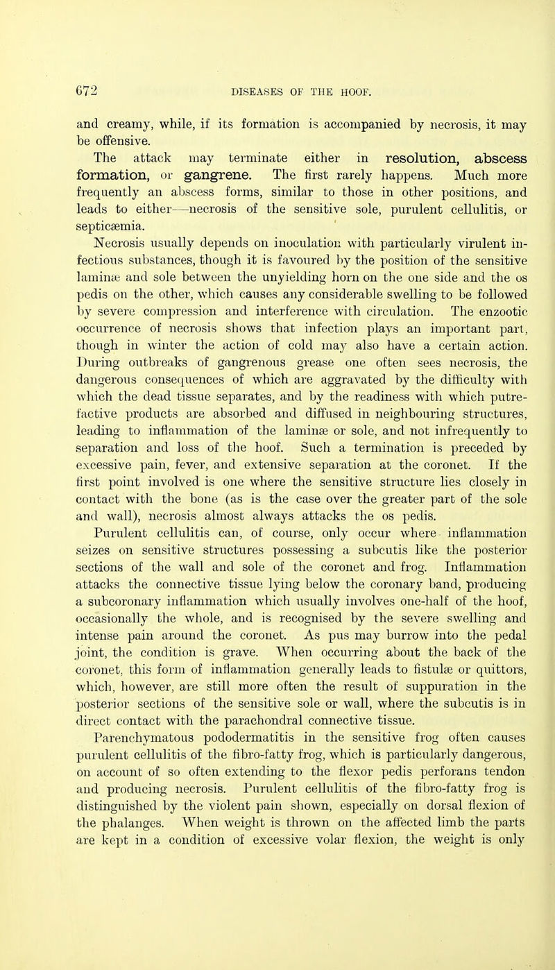 and creamy, while, if its formation is accompanied by neciosis, it may be offensive. The attack may terminate either in resolution, abscess formation, or gangrene. The first rarely happens. Much more frequently an abscess forms, similar to those in other positions, and leads to either—necrosis of the sensitive sole, purulent cellulitis, or septicaemia. Necrosis usually depends on inoculation with particularly virulent in- fectious substances, though it is favoured by the position of the sensitive laminai and sole between the unyielding horn on the one side and the os pedis on the other, which causes any considerable swelling to be followed by severe compression and interference with circulation. The enzootic occurrence of necrosis shows that infection plays an important part, though in winter the action of cold maj also have a certain action. During outbreaks of gangrenous grease one often sees necrosis, the dangerous consecpiences of which are aggravated by the difficulty with which the dead tissue separates, and by the readiness with which putre- factive products are absorbed and diffused in neighbouring structures, leading to inflammation of the laminae or sole, and not infrequently to separation and loss of tlie hoof. Such a termination is preceded by excessive pain, fever, and extensive separation at the coronet. If the first point involved is one where the sensitive structure lies closely in contact with the bone (as is the case over the greater part of the sole and wall), necrosis almost always attacks the os pedis. Purulent cellulitis can, of course, only occur where inflammation seizes on sensitive structures possessing a subcutis like the posterior sections of the wall and sole of the coronet and frog. Inflammation attacks the connective tissue lying below the coronary band, producing a subcoronary inflammation which usually involves one-half of the hoof, occasionally the whole, and is recognised by the severe swelling and intense pain around the coronet. As pus may burrow into the pedal joint, the condition is grave. When occurring about the back of tlie coronet, this form of inflammation generally leads to fistulae or quittors, which, however, are still more often the result of suppuration in the posterior sections of the sensitive sole or wall, where the subcutis is in direct contact with the parachondral connective tissue. Parenchymatous pododermatitis in the sensitive frog often causes purulent cellulitis of the fibro-fatty frog, which is particularly dangerous, on account of so often extending to the flexor pedis perforans tendon and producing necrosis. Purulent cellulitis of the fibro-fatty frog is distinguished by the violent pain shown, especially on dorsal flexion of the phalanges. When weight is thrown on the affected limb the parts are kept in a condition of excessive volar flexion, the weight is only