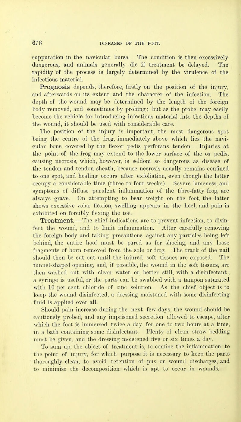 suppuration in the navicular bursa. The condition is then excessively dangerous, and animals generally die if treatment be delayed. The rapidity of the process is largely determined by the virulence of the infectious material. Prognosis depends, therefore, firstly on the position of the injury, and afterwards on its extent and the character of the infection. The depth of the wound may be determined l)y the length of the foreign body removed, and sometimes by probing; but as the probe may easily become the vehicle for introducing infectious material into the depths of the wound, it should be used with considerable care. Tlie position of the injury is important, the most dangerous spot being the centre of the frog, immediately above which lies the navi- cular bone covered by the flexor pedis perforans tendon. Injuries at the point of the frog may extend to the lower surface of the os pedis, causing necrosis, which, however, is seldom so dangerous as disease of the tendon and tendon sheath, because necrosis usually remains confined to one spot, and healing occurs after exfoliation, even thoiigh the latter occupy a considerable time (three to four weeks). Severe lameness, and symptoms of diffuse purulent inflammation of the fibro-fatty frog, are always grave. (3n attempting to bear weight on the foot, the latter shows excessive volar flexion, swelling appears in the heel, and pain is exhibited on forcibly flexing tlie toe. Treatment.—The chief indications are to prevent infection, to disin- fect the wound, and to limit inflammation. After carefully removing the foreign body and taking precautions against any particles being left behind, the entire hoof must be pared as for shoeing, and any loose fragments of horn removed from the sole or frog. The track of the nail should then be cut out until the injured soft tissues are exposed. The funnel-shaped opening, and, if possible, the wound in the soft tissues, are then washed out with clean water, or, better still, with a disinfectant; a syringe is useful, or the parts can be swabbed with a tampon saturated witli 10 per cent, chloride of zinc solution. As the chief object is to keep the wound disinfected, a dressing moistened with some disinfecting fluid is applied over all. Should pain increase during the next few days, the wound should be cautiously probed, and any imprisoned secretion allowed to escape, after which the foot is immersed twice a day, for one to two hours at a time, in a bath containing some disinfectant. Plenty of clean straw bedding must be given, and the dressing moistened five or six times a day. To sum up, the object of treatment is, to confine the inflammation to the point of injury, for which purpose it is necessary to keep the parts tlioroughly clean, to avoid retention of pus or wound discharges, and to minimise the decomposition which is apt to occur in wounds.