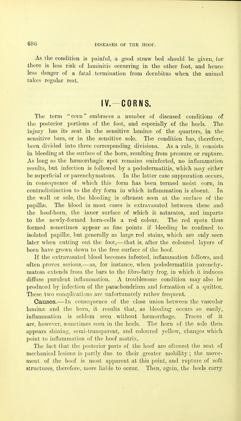 As the condition is painful, a good straw bed should be given, for there is less risk of laminitis occurring in the other foot, and hence less danger of a fatal termination from decubitus when the animal takes regular rest. IV.-CORNS. The term  corn embraces a number of diseased conditions of the posterior portions of the foot, and especially of the heels. The injury has its seat in the sensitive laminai of the quarters, in the sensitive bars, or in the sensitive sole. The condition has, therefore,, been divided into three corresponding divisions. As a rule, it consists in bleeding at the surface of the horn, resulting from pressure or rupture. As long as the hsemorrhagic spot remains uninfected, no inflammation results, but infection is followed by a pododermatitis, which may either be superficial or parenchymatous. In the latter case suppuration occurs, in consequence of which this form has been termed moist corn, in contradistinction to the dry form in which inflammation is absent. la the wall or sole, the bleeding is oftenest seen at the surface of the papillse. The blood in most cases is extravasated between these and the hoof-horn, the inner surface of which it saturates, and imparts, to the newly-formed horn-cells a red colour. The red spots thus formed sometimes appear as fine points if bleeding be confined to isolated papillae, but generally as large red stains, which are only seen later when cutting out the foot,—that is, after the coloured layers of horn have grown down to the free surface of the hoof. If the extravasated blood becomes infected, inflammation follows, and often proves serious,—as, for instance, when pododermatitis parenchy- matosa extends from the bars to the fibro-fatty frog, in which it induces diffuse purulent inflammation. A troublesome condition may also be produced by infection of the parachondrium and formation of a quittor. These two complications are unfortunately rather frequent. Causes.—In consequence of the close union between the vascular laminae and the horn, it results that, as bleeding occurs so easily, inflammation is seldom seen without hsemorrhage. Traces of it are, however, sometimes seen in the heels. The horn of the sole then, appears shining, semi-transparent, and coloured yellow, clianges which point to inflammation of the hoof matrix. The fact that the posterior parts of the hoof are oftenest the seat of mechanical lesions is partly due to their greater mobility ; the move- ment of the hoof is most apparent at this point, and rupture of soft structures, therefore, more liable to occur. Then, again, the heels carry