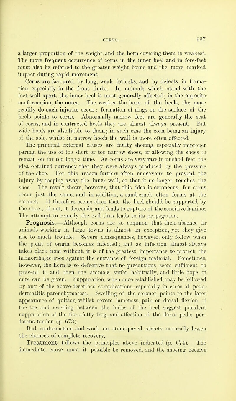 COKNS. GST a larger proportion of the weight, and the horn covering them is weakest. The more frequent occurrence of corns in the inner heel and in fore-feet must also be referred to the greater weight borne and the more marked impact during rapid movement. Corns are favoured by long, weak fetlocks, and by defects in forma- tion, especially in the front limbs. In animals which stand with the feet well apart, the inner heel is most generally affected; in the opposite- conformation, the outer. The weaker the horn of the heels, the moie readily do such injuries occur : formation of rings on the surface of the heels points to corns. Abnormally narrow feet are generally the seat of corns, and in contracted heels they are almost always present. But wide hoofs are also liable to them; in such case the corn being an injury of the sole, whilst in narrow hoofs the wall is more often affected. The principal external causes are faulty shoeing, especially improper paring, the use of too short or too narrow shoes, or allowing the shoes lO' remain on for too long a time. As corns are very rare in iinshod feet, the idea obtained currency that they were always produced by the pressure of the shoe. For this reason farriers often endeavour to prevent the- injury by rasping away the inner wall, so that it no longer touches the shoe. The result shows, however, that this idea is erroneous, for corns occur just the same, and, in addition, a sand-crack often forms at the coronet. It therefore seems clear that the heel should be supported by the shoe ; if not, it descends, and leads to rupture of the sensitive laminte. The attempt to remedy the evil thus leads to its propagation. Prognosis.—Although corns are so common that their absence in animals working in large towns is almost an exception, yet they give rise to much trouble. Severe consequences, however, only follow when the point of origin becomes infected; and as infection almost always takes place from without, it is of the greatest importance to protect the hcemorrhagic spot against the entrance of foreign material. Sometimes, however, the horn is so defective that no precautions seem sufficient to prevent it, and then the animals suffer habitually, and little hope of cure can be given. Suppuration, when once established, may be followed by any of the above-described complications, especially in cases of podo- dermatitis parenchymatosa. Swelling of the coronet points to the later appearance of quittor, whilst severe lameness, pain on dorsal flexion of the toe, and swelling between the bulbs of the heel suggest purulent suppuration of the fibro-fatty frog, and affection of the flexor pedis per- forans tendon (p. 678). Bad conformation and work on stone-paved streets naturally lessen the chances of complete recovery. Treatment follows the principles above indicated (p. 674). The immediate cause must if possible be removed, and the shoeing receive