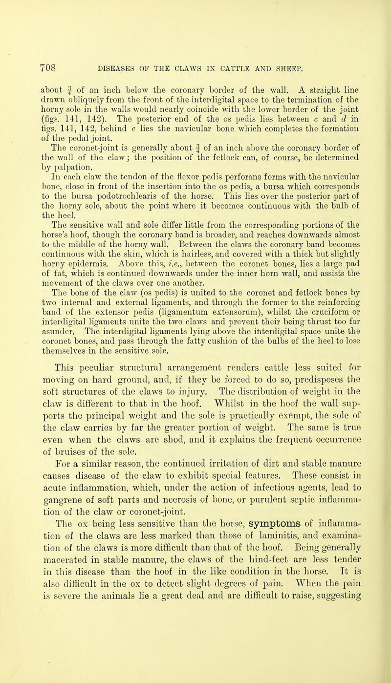 about I of an inch below the coronary border of the wall. A straight line drawn obliquely from the front of the interdigital space to the termination of the horny sole in the walls would nearly coincide with the lower border of the joint (figs. 141, 142). The posterior end of the os pedis lies between c and d in tigs. 141, 142, behind c lies the navicular bone which completes the formation of the pedal joint. The coronet-joint is generally about ^ of an inch above the coronary border of the wall of the claw; the position of the fetlock can, of course, be determined by palpation. In each claw the tendon of the flexor pedis perforans forms with the navicular bone, close in front of the insertion into the os pedis, a bursa which corresponds to the bursa podotrochlearis of the horse. This lies over the posterior part of the horny sole, about the point where it becomes continuous with the bulb of the heel. The sensitive wall and sole differ little from the corresponding portions of the horse's hoof, though the coronary band is broader, and reaches downwards almost to the middle of the horny wall. Between the claws the coronary band becomes continuous with the skin, which is hairless, and covered with a thick but slightly horny epidermis. Above this, i.e., between the coronet bones, lies a large pad of fat, which is continued downwards under the inner horn wall, and assists the movement of the claws over one another. The bone of the claw (os pedis) is united to the coronet and fetlock bones by two internal and external ligaments, and through the former to the reinforcing band of the extensor pedis (ligamentum extensorum), whilst the cruciform or interdigital ligaments unite the two claws and prevent their being thrust too far asunder. The interdigital ligaments lying above the interdigital space unite the coronet bones, and pass through the fatty cushion of the bulbs of the heel to lose themselves in the sensitive sole. Tliis peculiar structural arrangement renders cattle less suited for moving on hard ground, and, if they be forced to do so, predisposes the soft structures of the claws to injury. The distribution of weight in the claw is different to that in the hoof. Whilst in the hoof the wall sup- ports the principal weight and the sole is practically exempt, the sole of the claw carries by far the greater portion of weight. The same is true even when the claws are shod, and it explains the frequent occurrence of bruises of the sole. For a similar reason, the continued irritation of dirt and stable manure causes disease of the claw to exhibit special features. These consist in acute inflammation, which, under the action of infectious agents, lead to gangrene of soft parts and necrosis of bone, or purulent septic inflamma- tion of the claw or coronet-joint. The ox being less sensitive than the horse, symptoms of inflamma- tion of the claws are less marked than those of laminitis, and examina- tion of the claws is more difficult than that of the hoof. Being generally macerated in stable manure, the claws of the hind-feet are less tender in this disease than the hoof in the like condition in the horse. It is also difficult in the ox to detect slight degrees of pain. When the pain is severe the animals lie a great deal and are difficult to raise, suggesting