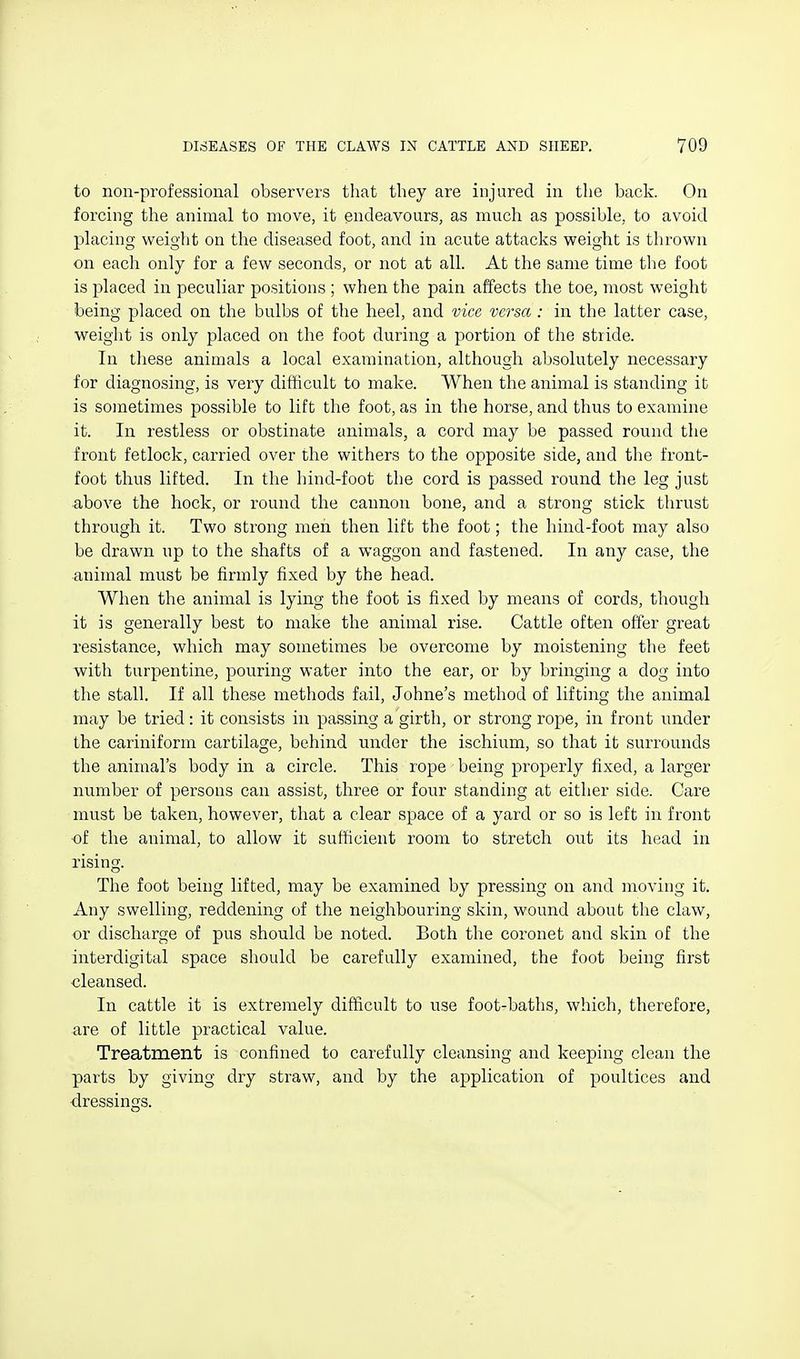 to non-professional observers that they are injured in the back. On forcing the animal to move, it endeavours, as much as possible, to avoid placing weight on the diseased foot, and in acute attaclvs weight is thrown on each only for a few seconds, or not at all. At the same time the foot is placed in peculiar positions ; when the pain affects the toe, most weight being placed on the bulbs of the heel, and vice versa: in the latter case, weight is only placed on the foot during a portion of the stride. In these animals a local examination, although absolutely necessary for diagnosing, is very difficult to make. When the animal is standing it is sometimes possible to lift the foot, as in the horse, and thus to examine it. In restless or obstinate animals, a cord may be passed round the front fetlock, carried over the withers to the opposite side, and the front- foot thus lifted. In the hind-foot the cord is passed round the leg just above the hock, or round the cannon bone, and a strong stick thrust through it. Two strong men then lift the foot; the hind-foot may also be drawn up to the shafts of a waggon and fastened. In any case, the animal must be firmly fixed by the head. When the animal is lying the foot is fixed by means of cords, though it is generally best to make the animal rise. Cattle often offer great resistance, which may sometimes be overcome by moistening the feet with turpentine, pouring water into the ear, or by bringing a dog into the stall. If all these methods fail, Johne's method of lifting the animal may be tried: it consists in passing a girth, or strong rope, in front mrder the cariniform cartilage, behind under the ischium, so that it surrounds the animal's body in a circle. This rope being properly fixed, a larger number of persons can assist, three or four standing at either side. Care must be taken, however, that a clear space of a yard or so is left in front •of the animal, to allow it sufficient room to stretch out its head in rising. The foot being lifted, may be examined by pressing on and moving it. Any swelling, reddening of the neighbouring skin, wound about the claw, or discharge of pus should be noted. Both the coronet and skin of the interdigital space should be carefully examined, the foot being first cleansed. In cattle it is extremely difficult to use foot-baths, which, therefore, are of little practical value. Treatment is confined to carefully cleansing and keeping clean the parts by giving dry straw, and by the application of poultices and dressings.