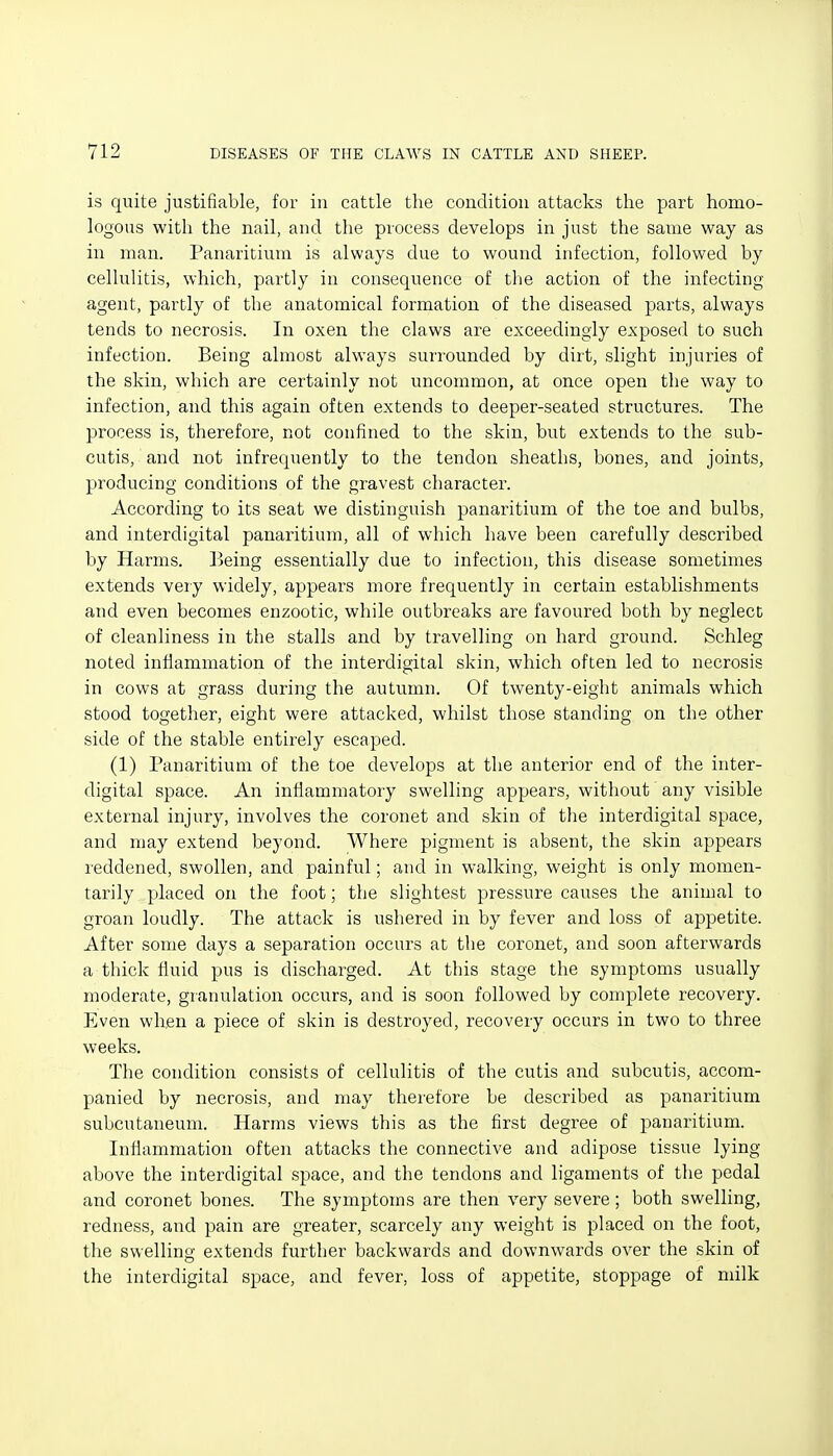 is quite justifiable, for in cattle the condition attacks the part homo- logous with the nail, and the process develops in just the same way as in man. Panaritium is always due to wound infection, followed by cellulitis, which, partly in consequence of the action of the infecting agent, partly of the anatomical formation of the diseased parts, always tends to necrosis. In oxen the claws are exceedingly exposed to such infection. Being almost always surrounded by dirt, slight injuries of the skin, which are certainly not uncommon, at once open the way to infection, and this again often extends to deeper-seated structures. The process is, therefore, not confined to the skin, but extends to the sub- cutis, and not infrequently to the tendon sheaths, bones, and joints, producing conditions of the gravest character. According to its seat we distinguish panaritium of the toe and bulbs, and interdigital panaritium, all of which have been carefully described by Harms. Being essentially due to infection, this disease sometimes extends very widely, appears more frequently in certain establishments and even becomes enzootic, while outbreaks are favoured both by neglect of cleanliness in the stalls and by travelling on hard ground. Schleg noted inflammation of the interdigital skin, which often led to necrosis in cows at grass during the autumn. Of twenty-eight animals which stood together, eight were attacked, whilst those standing on the other side of the stable entirely escaped. (1) Panaritium of the toe develops at the anterior end of the inter- digital space. An inflammatory swelling appears, without any visible external injury, involves the coronet and skin of the interdigital space, and may extend beyond. Where pigment is absent, the skin appears reddened, swollen, and painful; and in walking, weight is only momen- tarily placed on the foot; the slightest pressure causes the animal to groan loudly. The attack is ushered in by fever and loss of appetite. After some days a separation occurs at the coronet, and soon afterwards a thick fluid pus is discharged. At this stage the symptoms usually moderate, granulation occurs, and is soon followed by complete recovery. Even when a piece of skin is destroyed, recovery occurs in two to three weeks. The condition consists of cellulitis of the cutis and subcutis, accom- panied by necrosis, and may therefore be described as panaritium subcutaneum. Harms views this as the first degree of panaritium. Inflammation often attacks the connective and adipose tissue lying above the interdigital space, and the tendons and ligaments of the pedal and coronet bones. The symptoms are then very severe; both swelling, redness, and pain are greater, scarcely any weight is placed on the foot, the swellino- extends further backwards and downwards over the skin of the interdigital space, and fever, loss of appetite, stoppage of milk