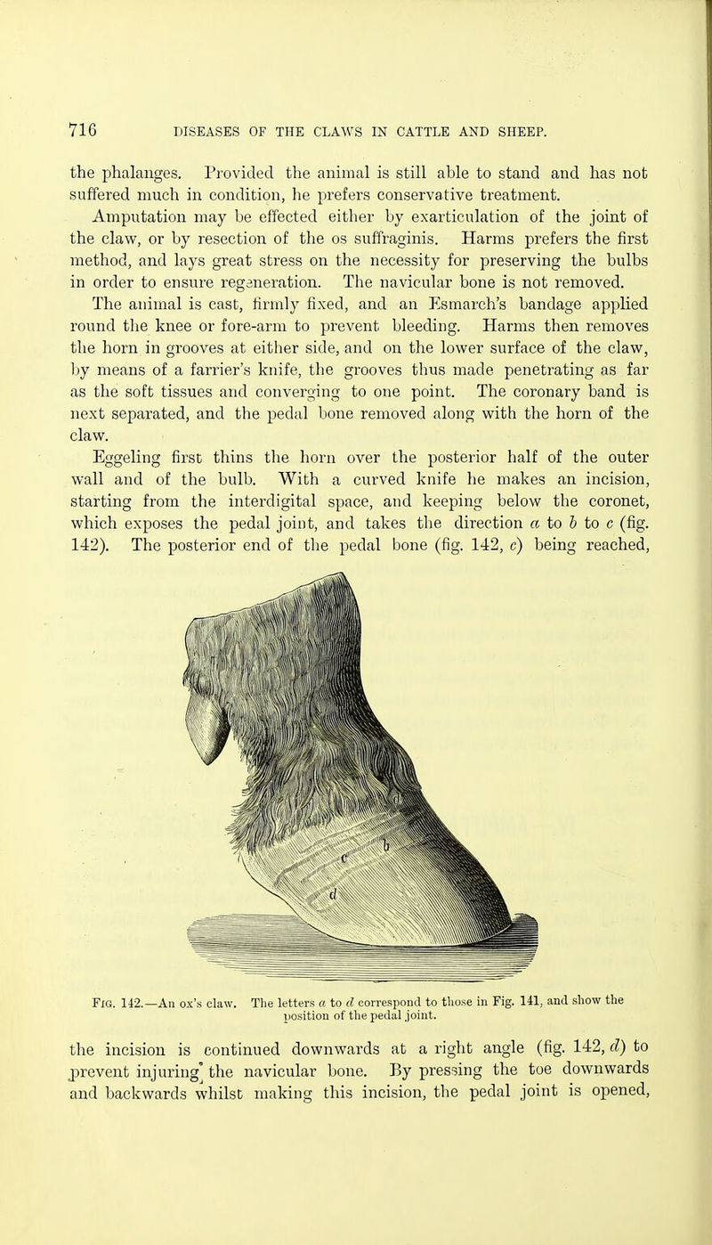 the phalanges. Provided the animal is still able to stand and has not suffered much in condition, he prefers conservative treatment. Amputation may be effected either by exarticulation of the joint of the clavi^, or by resection of the os sufiraginis. Harms prefers the first method, and lays great stress on the necessity for preserving the bulbs in order to ensure regeneration. The navicular bone is not removed. The animal is cast, firmly fixed, and an Esmarch's bandage applied round the knee or fore-arm to prevent bleeding. Harms then removes the horn in grooves at either side, and on the lower surface of the claw, Ijy means of a farrier's knife, the grooves thus made penetrating as far as the soft tissues and converging to one point. The coronary band is next separated, and the pedal bone removed along with the horn of the claw. Eggeling first thins the horn over the posterior half of the outer wall and of the bulb. With a curved knife he makes an incision, starting from the interdigital space, and keeping below the coronet, which exposes the pedal joint, and takes the direction a to h to c (fig. 142). The posterior end of the pedal bone (fig. 142, c) being reached. Fig. 142.—An ox's claw. The letters a to d correspond to those in Fig. 141, and show the ijosition of the pedal joint. the incision is continued downwards at a right angle (fig. 142, d) to prevent injuring the navicular bone. By pressing the toe downwards and backwards whilst making this incision, the pedal joint is opened,