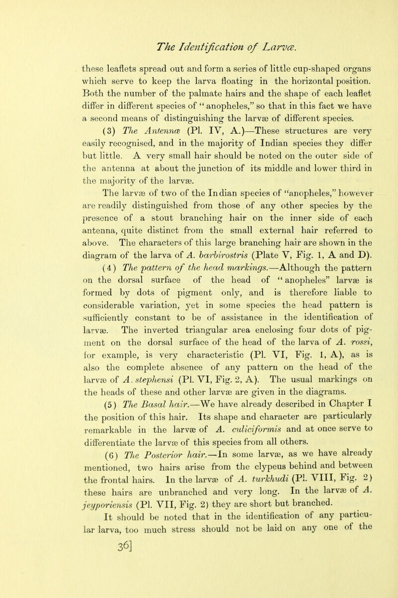 these leaflets spread out and form a series of little eup-shaped organs which serve to keep the larva floating in the horizontal position. Both the number of the palmate hairs and the shape of each leaflet differ in different species of  anopheles, so that in this fact we have a second means of distinguishing the larvse of different species. (3) Tlie Antenn(B (PI. IV, A.)—These structures are very easily recognised, and in the majority of Indian species they differ but little, A very small hair should be noted on the outer side of the antenna at about the junction of its middle and lower third in the majority of the larvse. The larvse of two of the Indian species of anopheles, however are readily distinguished from those of any other species by the presence of a stout branching hair on the inner side of each antenna, quite distinct from the small external hair referred to above. The characters of this large branching hair are shown in the diagram of the larva of A. harbirostris (Plate V, Fig. 1, A and D). (4) The pattern of the head markings.—Although the pattern on the dorsal surface of the head of  anopheles larvae is formed by dots of pigment only, and is therefore liable to considerable variation, yet in some species the head pattern is sufficiently constant to be of assistance in the identification of larvae. The inverted triangular area enclosing four dots of pig- ment on the dorsal surface of the head of the larva of A. rossi, for example, is very characteristic (PI. VI, Fig. 1, A), as is also the complete absence of any pattern on the head of the larvae of A. stephensi (Pi. VI, Fig. 2, A). The usual markings on the heads of these and other larvae are given in the diagrams. (5) The Basal hair.—We have already described in Chapter I the position of this hair. Its shape and character are particularly remarkable in the larvae of A. culiciformis and at once serve to differentiate the larvae of this species from all others. (6) The Posterior hair.—In some larvae, as we have already mentioned, two hairs arise from the clypeus behind and between the frontal hairs. In the larvae of A. turkhudi (PI. VIII, Fig. 2) these hairs are unbranched and very long. In the larvae of A. jeyporiensis (PI. VII, Fig. 2) they are short but branched. It should be noted that in the identification of any particu- lar larva, too much stress should not be laid on any one of the 36]