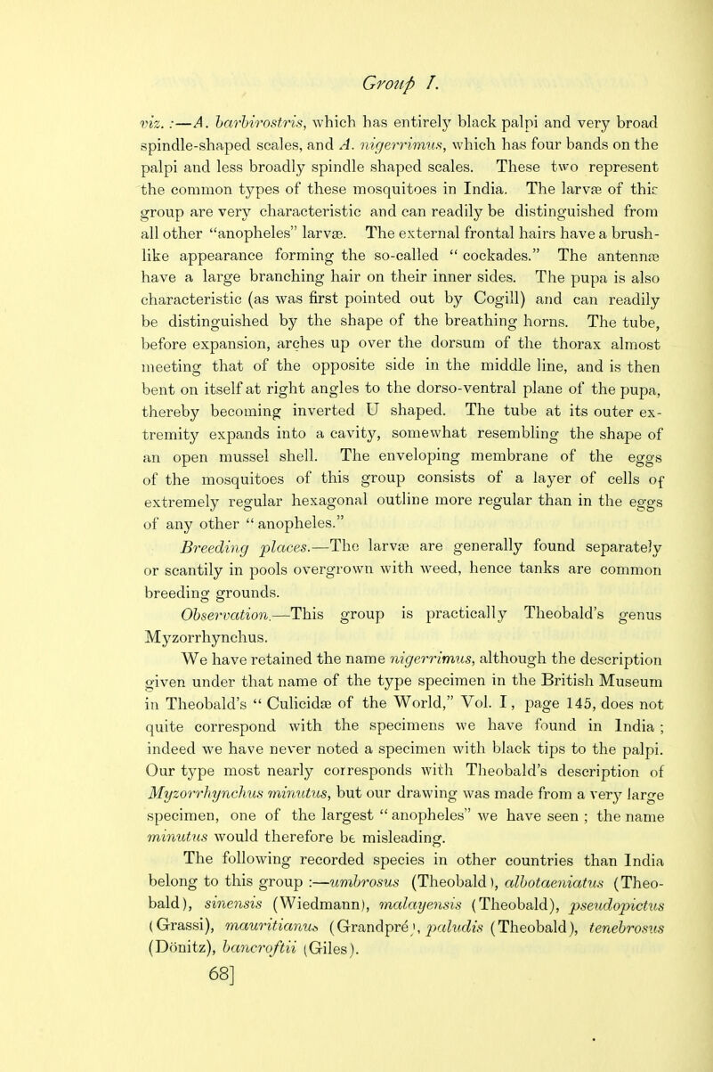 Grotip I. viz.:—A. barhirostris, which has entirely black palpi and very broad spindle-shaped scales, and ^. nigerrimus, which has four bands on the palpi and less broadly spindle shaped scales. These two represent the common types of these mosquitoes in India. The larvje of thic group are very characteristic and can readily be distinguished from all other anopheles larvae. The external frontal hairs have a brush- like appearance forming the so-called  cockades. The antennas have a large branching hair on their inner sides. The pupa is also characteristic (as was first pointed out by Cogill) and can readily be distinguished by the shape of the breathing horns. The tube, before expansion, arches up over the dorsum of the thorax almost meeting that of the opposite side in the middle line, and is then bent on itself at right angles to the dorso-ventral plane of the pupa, thereby becoming inverted U shaped. The tube at its outer ex- tremity expands into a cavity, somewhat resembhng the shape of an open mussel shell. The enveloping membrane of the eggs of the mosquitoes of this group consists of a layer of cells of extremely regular hexagonal outline more regular than in the eggs of any other  anopheles. Breeding places.—The larva? are generally found separately or scantily in pools overgrown with weed, hence tanks are common breeding grounds. Observation.—This group is practically Theobald's genus Myzorrhynchus. We have retained the name nigerrimus, although the description given under that name of the type specimen in the British Museum in Theobald's  CuHcidffi of the World, Vol. I, page 145, does not quite correspond with the specimens we have found in India ; indeed we have never noted a specimen with black tips to the palpi. Our type most nearly corresponds with Theobald's description of Myzorrhynchus minutus, but our drawing was made from a very large specimen, one of the largest  anopheles we have seen ; the name minutus would therefore be misleadinsf. The following recorded species in other countries than India belong to this group :—umbrosus (Theobald), alhotaeniatus (Theo- bald), sinensis (Wiedmann), vnalayensis (Theobald), pseudopictm (Grassi), mauritianut, (Grandpre ', ^ja/itc?26' (Theobald), tenebrosus (Donitz), bancroftii (Giles). 68]