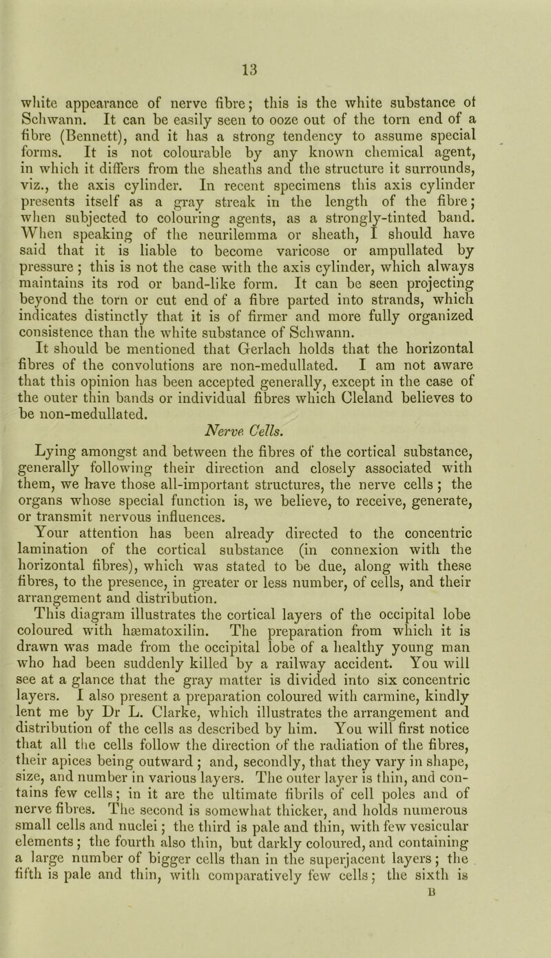 white appearance of nerve fibre; this is the white substance of Schwann. It can be easily seen to ooze out of the torn end of a fibre (Bennett), and it has a strong tendency to assume special forms. It is not colourable by any known chemical agent, in which it differs from the sheaths and the structure it surrounds, viz., the axis cylinder. In recent specimens this axis cylinder presents itself as a gray streak in the length of the fibre; when subjected to colouring agents, as a strongly-tinted band. When speaking of the neurilemma or sheath, I should have said that it is liable to become varicose or ampullated by pressure ; this is not the case with the axis cylinder, which always maintains its rod or band-like form. It can be seen projecting beyond the torn or cut end of a fibre parted into strands, which indicates distinctly that it is of firmer and more fully organized consistence than the white substance of Schwann. It should be mentioned that Gerlach holds that the horizontal fibres of the convolutions are non-medullated. I am not aware that this opinion has been accepted generally, except in the case of the outer thin bands or individual fibres which Cleland believes to be non-medullated. Nerve Cells. Lying amongst and between the fibres of the cortical substance, generally following their direction and closely associated with them, we have those all-important structures, the nerve cells ; the organs whose special function is, we believe, to receive, generate, or transmit nervous influences. Your attention has been already directed to the concentric lamination of the cortical substance (in connexion with the horizontal fibres), which was stated to be due, along with these fibres, to the presence, in greater or less number, of cells, and their arrangement and distribution. This diagram illustrates the cortical layers of the occipital lobe coloured -with luematoxilin. The preparation from which it is drawn was made from the occipital lobe of a healthy young man who had been suddenly killed by a railway accident. You will see at a glance that the gray matter is divided into six concentric layers. I also present a preparation coloured with carmine, kindly lent me by Dr L. Clarke, which illustrates the arrangement and distribution of the cells as described by him. You will first notice that all the cells follow the direction of the radiation of the fibres, their apices being outward ; and, secondly, that they vary in shape, size, and number in various layers. The outer layer is thin, and con- tains few cells; in it are the ultimate fibrils of cell poles and of nerve fibres. The second is somewhat thicker, and holds numerous small cells and nuclei; the third is pale and thin, with few vesicular elements; the fourth also thin, but darkly coloured, and containing a large number of bigger cells than in the superjacent layers; the filth is pale and thin, with comparatively few cells; the sixth is B