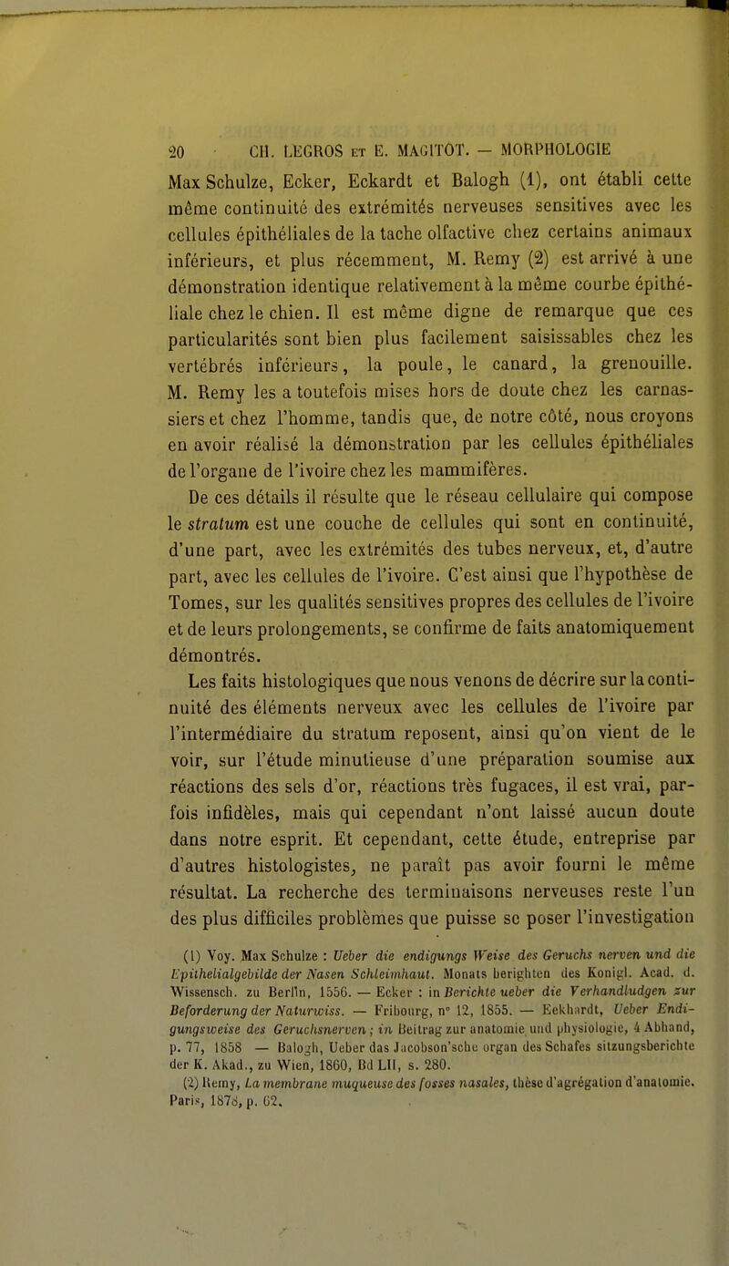 Max Schulze, Ecker, Eckardt et Balogh (1), ont établi cette môme continuité des extrémités nerveuses sensitives avec les cellules épithéliales de la tache olfactive chez certains animaux inférieurs, et plus récemment, M. Remy (2) est arrivé à une démonstration identique relativement à la môme courbe épithé- lialechezlechien.il est même digne de remarque que ces particularités sont bien plus facilement saisissables chez les vertébrés inférieurs, la poule, le canard, la grenouille. M. Remy les a toutefois mises hors de doute chez les carnas- siers et chez l'homme, tandis que, de notre côté, nous croyons en avoir réalisé la démonstration par les cellules épithéliales de l'organe de l'ivoire chez les mammifères. De ces détails il résulte que le réseau cellulaire qui compose le stratum est une couche de cellules qui sont en continuité, d'une part, avec les extrémités des tubes nerveux, et, d'autre part, avec les cellules de l'ivoire. C'est ainsi que l'hypothèse de Tomes, sur les qualités sensitives propres des cellules de l'ivoire et de leurs prolongements, se confirme de faits anatomiquement démontrés. Les faits histologiques que nous venons de décrire sur la conti- nuité des éléments nerveux avec les cellules de l'ivoire par l'intermédiaire du stratum reposent, ainsi qu'on vient de le voir, sur l'étude minutieuse d'une préparation soumise aux réactions des sels d'or, réactions très fugaces, il est vrai, par- fois infidèles, mais qui cependant n'ont laissé aucun doute dans notre esprit. Et cependant, cette étude, entreprise par d'autres histologistes, ne paraît pas avoir fourni le même résultat. La recherche des terminaisons nerveuses reste l'un des plus difficiles problèmes que puisse se poser l'investigation (1) Voy. Max Schulze : Ueber die endigungs Weise des Geruchs nerven und die Eyilhelialgebilde der Nasen Schleimhaul. Monats berighten des Konigl. Acad. d. Wissensch. zu Berlin, 1556. — Ecker : in Berichte ueber die Verhandludgen sur Beforderung der Naturwiss. — Fribourg, n° 12, 1855. — Ëekhardt, Ueber Endi- gungsiveise des Geruchsnerven ; in Beitrag zur unatomie und physiologie, 4Abhand, p. 77, 1858 — Balogh, Ueber das Jacobson'sche organ desSchafes sitzungsberichte der K. Akad., zu Wien, 1860, Bd LU, s. 280. (2) Uemy, La membrane muqueuse des fosses nasales, thèse d'agrégation d'analomie. Paris, 1878, p. G2.