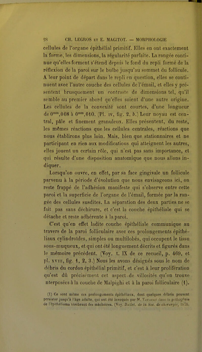 cellules de l'organe épithélial primitif. Elles en ont exactement la forme, les dimensions, la régularité parfaite. La rangée conti- nue qu'elles forment s'étend depuis le fond du repli formé de la réflexion de la paroi sur le bulbe jusqu'au sommet du follicule. A leur point de départ dans le repli en question, elles se conti- nuent avec l'autre couche des cellules de l'émail, et elles y pré- sentent brusquement un contraste de dimensions tel, qu'il semble au premier abord qu'elles soient d'une autre origine. Les cellules de la convexité sont courtes, d'une longueur deOmm,008 à 0mm,010. (Pl. iv, fig. 2, b.) Leur noyau est cen- tral, pâle et finement granuleux. Elles présentent, du reste, les mêmes réactions que les cellules centrales, réactions que nous établirons plus loin. Mais, bien que stationnaires et ne participant en rien aux modifications qui atteignent les autres, elles jouent un certain rôle, qui n'est pas sans importance, et qui résulte d'une disposition anatomique que nous allons in- diquer. Lorsqu'on ouvre, en effet, par sa face gingivale un follicule parvenu à la période d'évolution que nous envisageons ici, on reste frappé de l'adhésion manifeste qui s'observe entre cette paroi et la superficie de l'organe de l'émail, formée par la ran- gée des cellules susdites. La séparation des deux parties ne se fait pas sans déchirure, et c'est la couche épithéliale qui se détache et reste adhérente à la paroi. C'est qu'en effet ladite couche épithéliale communique au travers de la paroi folliculaire avec ces prolongements épithé- liaux cylindroïdes, simples ou multilobés, qui occupent le tissu sous- muqueux, et qui ont été longuement décrits et figurés dans le mémoire précédent. (Voy. t. IX de ce recueil, p. 469, et pl. xvni, fig. 4, 2, 3.) Nous les avons désignés sous le nom de débris du cordon épithélial primitif, et c'est à leur prolifération qu'est dû précisément cet aspect de villosités qu'on trouve nterposées à la couche de Malpighi et à la paroi folliculaire (1). (1) Ce sont môme ces prolongements êpilhélîaux, dont quelques débris peuvent persister jusqu'à l'âge adulte, qui ont été invoqués par M. Verueuil dans la pulhogonie de l'ôpithélioma térébraut des mâchoires. (Voy. Ballet, de la Soc. de chirurgie, Ks78.