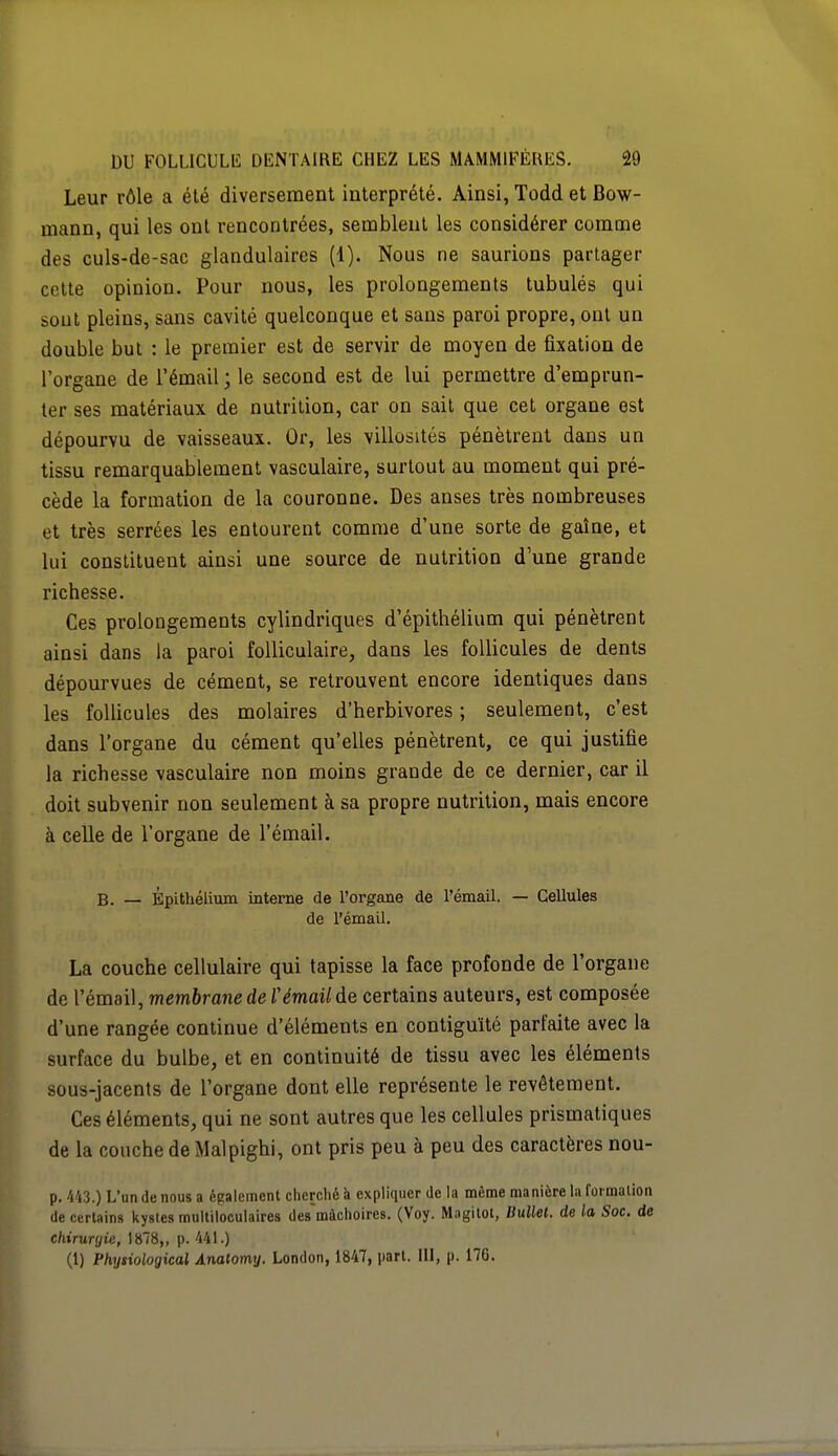 Leur rôle a été diversement interprété. Ainsi, Todd et Bow- mann, qui les ont rencontrées, semblent les considérer comme des culs-de-sac glandulaires (1). Nous ne saurions partager cette opinion. Pour nous, les prolongements tubulés qui sont pleins, sans cavité quelconque et sans paroi propre, ont un double but : le premier est de servir de moyen de fixation de l'organe de l'émail ; le second est de lui permettre d'emprun- ter ses matériaux de nutrition, car on sait que cet organe est dépourvu de vaisseaux. Or, les villosités pénètrent dans un tissu remarquablement vasculaire, surtout au moment qui pré- cède la formation de la couronne. Des anses très nombreuses et très serrées les entourent comme d'une sorte de gaîne, et lui constituent ainsi une source de nutrition d'une grande richesse. Ces prolongements cylindriques d'épithélium qui pénètrent ainsi dans la paroi folliculaire, dans les follicules de dents dépourvues de cément, se retrouvent encore identiques dans les follicules des molaires d'herbivores ; seulement, c'est dans l'organe du cément qu'elles pénètrent, ce qui justifie la richesse vasculaire non moins grande de ce dernier, car il doit subvenir non seulement à sa propre nutrition, mais encore à celle de l'organe de l'émail. B. — Êpithélium interne de l'organe de l'émail. — Cellules de l'émail. La couche cellulaire qui tapisse la face profonde de l'organe de l'émail, membrane de Vémail de certains auteurs, est composée d'une rangée continue d'éléments en contiguïté parfaite avec la surface du bulbe, et en continuité de tissu avec les éléments sous-jacents de l'organe dont elle représente le revêtement. Ces éléments, qui ne sont autres que les cellules prismatiques de la couche de Malpighi, ont pris peu à peu des caractères nou- p. 443.) L'un de nous a également cherché à expliquer delà même manière la formation de certains kystes multiloculaires des'màchoires. (Voy. Magitot, Bullet. de la Soc. de chiruryic, 1878,, p. 441.) (1) Phytiological Anatomy. London, 1847, part. III, p. 176.