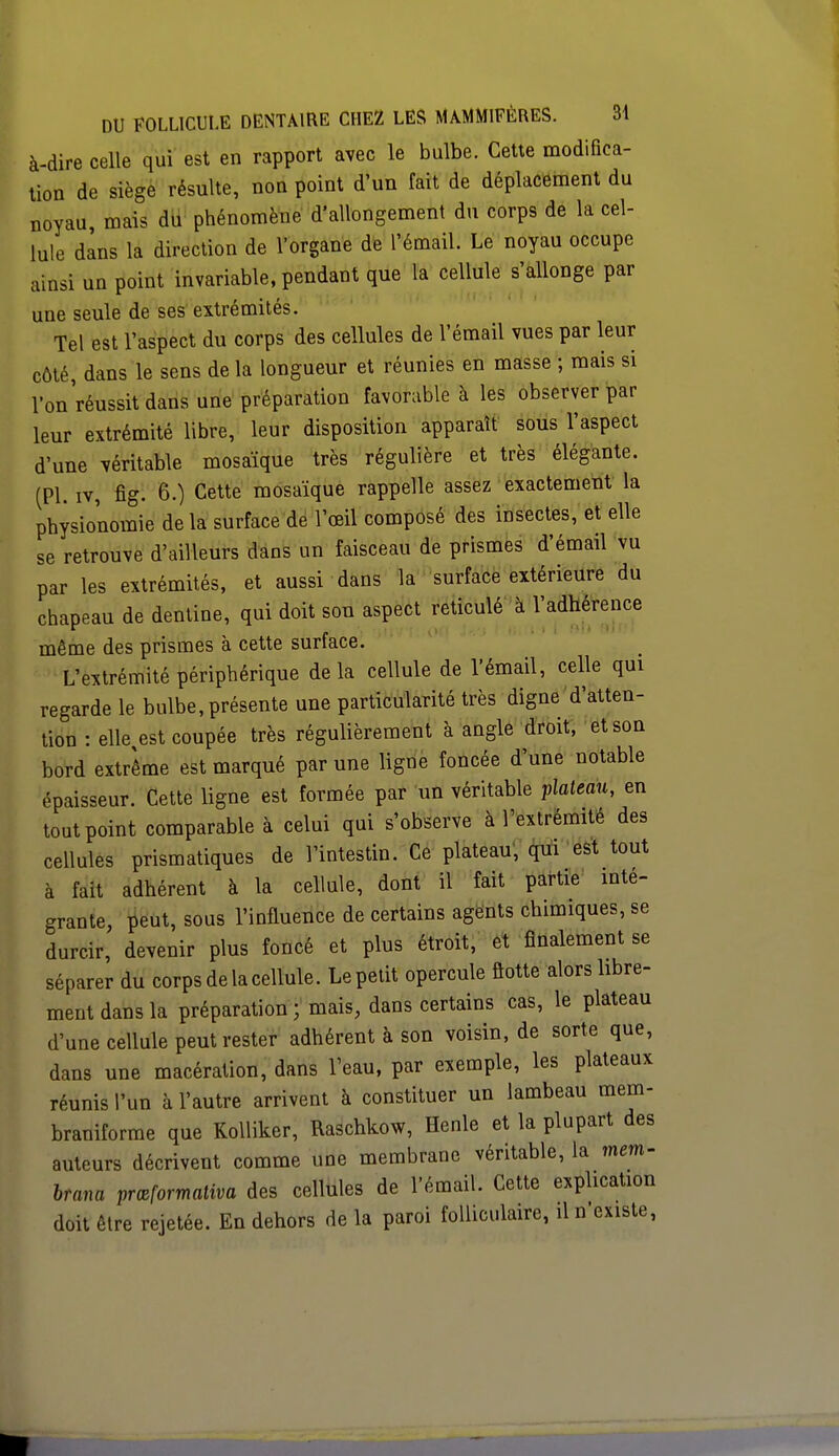 à-dire celle qui est en rapport avec le bulbe. Cette modifica- tion de siège résulte, non point d'un fait de déplacement du noyau, mais du phénomène d'allongement du corps de la cel- lule dans la direction de l'organe de l'émail. Le noyau occupe ainsi un point invariable, pendant que la cellule s'allonge par une seule de ses extrémités. Tel est l'aspect du corps des cellules de l'émail vues par leur côté, dans le sens de la longueur et réunies en masse ; mais si l'on'réussit dans une préparation favorable à les observer par leur extrémité libre, leur disposition apparaît sous l'aspect d'une véritable mosaïque très régulière et très élégante. (Pl. iv, fig. 6.) Cette mosaïque rappelle assez exactement la physionomie de la surface de l'œil composé des insectes, et elle se retrouve d'ailleurs dans un faisceau de prismes d'émail vu par les extrémités, et aussi dans la surface extérieure du chapeau de dentine, qui doit son aspect réticulé à l'adhérence même des prismes à cette surface. L'extrémité périphérique delà cellule de l'émail, celle qui regarde le bulbe, présente une particularité très digne d'atten- tion : eh\est coupée très régulièrement à angle droit, et son bord extrême est marqué par une ligne foncée d'une notable épaisseur. Cette ligne est formée par un véritable plateau, en tout point comparable à celui qui s'observe à l'extrémité des cellules prismatiques de l'intestin. Ce plateau, qui est tout à fait adhérent à la cellule, dont il fait partie inté- grante, peut, sous l'influence de certains agents chimiques, se durcir, devenir plus foncé et plus étroit, et finalement se séparer du corps de la cellule. Le petit opercule flotte alors libre- ment dans la préparation; mais, dans certains cas, le plateau d'une cellule peut rester adhérent à son voisin, de sorte que, dans une macération, dans l'eau, par exemple, les plateaux réunis l'un à l'autre arrivent à constituer un lambeau mem- braniforme que Kolliker, Raschkow, Henle et la plupart des auteurs décrivent comme une membrane véritable, la mem- brana pmformativa des cellules de l'émail. Cette explication doit être rejetée. En dehors de la paroi folliculaire, il n'existe,