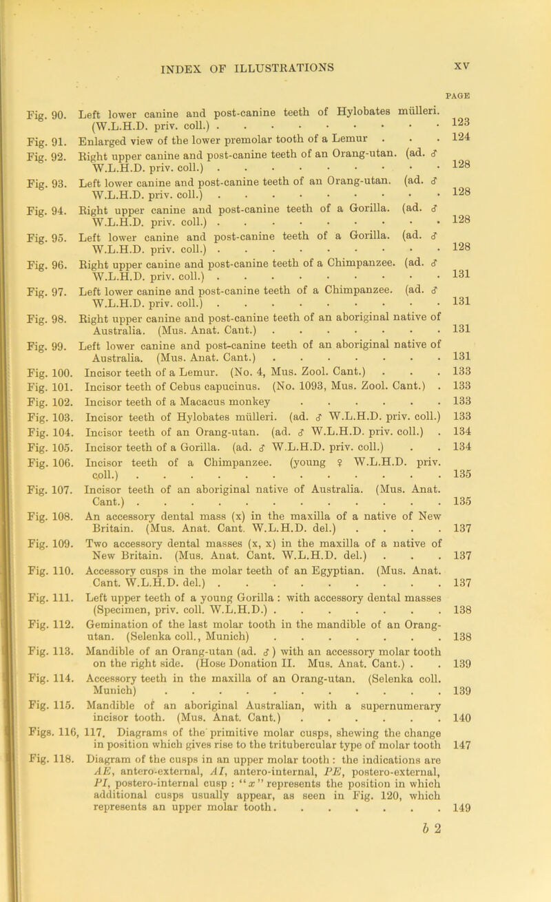 Fig. 90. Left lower canine and post-canine teeth of Hylobates mulleri. (W.L.H.D. priv. coll.) Fig. 91. Enlarged view of the lower premolar tooth of a Lemur . Fig. 92. Right upper canine and post-canine teeth of an Orang-utan. (ad. <f W.L.H.D. priv. coll.) Fig. 93. Left lower canine and post-canine teeth of an Orang-utan. (ad. A W.L.H.D. priv. coll.) Fig. 94. Right upper canine and post-canine teeth of a Gorilla, (ad. A W.L.H.D. priv. coll.) Fig. 95. Left lower canine and post-canine teeth of a Gorilla, (ad. A W.L.H.D. priv. coll.) Fig. 96. Right upper canine and post-canine teeth of a Chimpanzee, (ad. A W.L.H.D. priv. coll.) Fig. 97. Left lower canine and post-canine teeth of a Chimpanzee, (ad. A W.L.H.D. priv. coll.) Fig. 98. Right upper canine and post-canine teeth of an aboriginal native of Australia. (Mus. Anat. Cant.) Fig. 99. Left lower canine and post-canine teeth of an aboriginal native of Australia. (Mus. Anat. Cant.) ....... Fig. 100. Incisor teeth of a Lemur. (No. 4, Mus. Zool. Cant.) Fig. 101. Incisor teeth of Cebus capucinus. (No. 1093, Mus. Zool. Cant.) . Fig. 102. Incisor teeth of a Macacus monkey Fig. 103. Incisor teeth of Hylobates mulleri. (ad. A W.L.H.D. priv. coll.) Fig. 104. Incisor teeth of an Orang-utan. (ad. S W.L.H.D. priv. coll.) Fig. 105. Incisor teeth of a Gorilla, (ad. A W.L.H.D. priv. coll.) Fig. 106. Incisor teeth of a Chimpanzee. (young $ W.L.H.D. priv. doll.) Fig. 107. Incisor teeth of an aboriginal native of Australia. (Mus. Anat. Cant.) Fig. 108. An accessory dental mass (x) in the maxilla of a native of New Britain. (Mus. Anat. Cant. W.L.H.D. del.) . Fig. 109. Two accessory dental masses (x, x) in the maxilla of a native of New Britain. (Mus. Anat. Cant. W.L.H.D. del.) Fig. 110. Accessory cusps in the molar teeth of an Egyptian. (Mus. Anat. Cant. W.L.H.D. del.) Fig. 111. Left upper teeth of a young Gorilla : with accessory dental masses (Specimen, priv. coll. W.L.H.D.) Fig. 112. Gemination of the last molar tooth in the mandible of an Orang- utan. (Selenka coll., Munich) Fig. 113. Mandible of an Orang-utan (ad. A ) with an accessory molar tooth on the right side. (Hose Donation II. Mus. Anat. Cant.) . Fig. 114. Accessory teeth in the maxilla of an Orang-utan. (Selenka coll. Munich) Fig. 115. Mandible of an aboriginal Australian, with a supernumerary incisor tooth. (Mus. Anat. Cant.) Figs. 116, 117. Diagrams of the'primitive molar cusps, shewing the change in position which gives rise to the tritubercular type of molar tooth Fig. 118. Diagram of the cusps in an upper molar tooth : the indications are AE, antero-external, AI, antero-internal, PE, postero-external, PI, postero-internal cusp : “ x ” represents the position in which additional cusps usually appear, as seen in Fig. 120, which represents an upper molar tooth PAGE 123 124 128 128 128 128 131 131 131 131 133 133 133 133 134 134 135 135 137 137 137 138 138 139 139 140 147 149