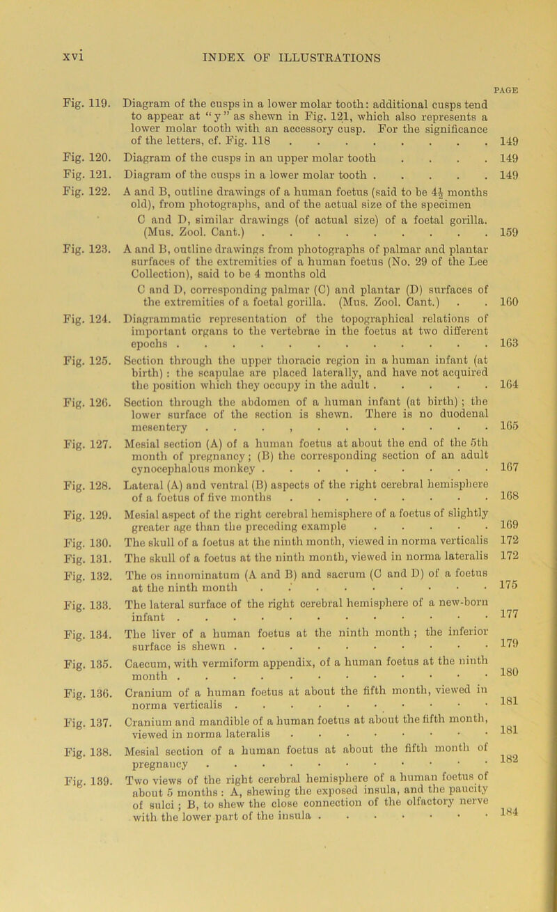 Fig. 119. Fig. 120. Fig. 121. Fig. 122. Fig. 123. Fig. 124. Fig. 125. Fig. 120. Fig. 127. Fig. 128. Fig. 129. Fig. 130. Fig. 131. Fig. 132. Fig. 133. Fig. 134. Fig. 135. Fig. 136. Fig. 137. Fig. 138. Fig. 139. INDEX OF ILLUSTRATIONS Diagram of the cusps in a lower molar tooth: additional cusps tend to appear at “ y ” as shewn in Fig. 121, which also represents a lower molar tooth with an accessory cusp. For the significance of the letters, cf. Fig. 118 Diagram of the cusps in an upper molar tooth .... Diagram of the cusps in a lower molar tooth ..... A and B, outline drawings of a human foetus (said to be 4| months old), from photographs, and of the actual size of the specimen C and D, similar drawings (of actual size) of a foetal gorilla. (Mus. Zool. Cant.) A and B, outline drawings from photographs of palmar and plantar surfaces of the extremities of a human foetus (No. 29 of the Lee Collection), said to be 4 months old C and D, corresponding palmar (C) and plantar (D) surfaces of the extremities of a foetal gorilla. (Mus. Zool. Cant.) Diagrammatic representation of the topographical relations of important organs to the vertebrae in the foetus at two different epochs Section through the upper thoracic region in a human infant (at birth) : the scapulae are placed laterally, and have not acquired the position which they occupy in the adult Section through the abdomen of a human infant (at birth); the lower surface of the section is shewn. There is no duodenal mesentery . . . , Mesial section (A) of a human foetus at about the end of the 5th month of pregnancy; (B) the corresponding section of an adult cynocephalous monkey Lateral (A) and ventral (B) aspects of the right cerebral hemisphere of a foetus of five months ........ Mesial aspect of the right cerebral hemisphere of a foetus of slightly greater age than the preceding example . . . . . The skull of a foetus at the ninth month, viewed in norma verticalis The skull of a foetus at the ninth month, viewed in norma lateralis The os innominatum (A and B) and sacrum (C and D) of a foetus at the ninth month The lateral surface of the right cerebral hemisphere of a new-born infant The liver of a human foetus at the ninth month ; the inferior surface is shewn Caecum, with vermiform appendix, of a human foetus at the ninth month Cranium of a human foetus at about the fifth month, viewed in norma verticalis .....••••• Cranium and mandible of a human foetus at about the fifth month, viewed in norma lateralis ....•••• Mesial section of a human foetus at about the fifth month of pregnancy Two views of the right cerebral hemisphere of a human foetus of about 5 months : A, shewing the exposed insula, and the paucity of sulci; B, to shew the close connection of the olfactory nerve with the lower part of the insula PAGE 149 149 149 159 100 163 164 165 167 168 169 172 172 175 177 179 180 181 181 182 184