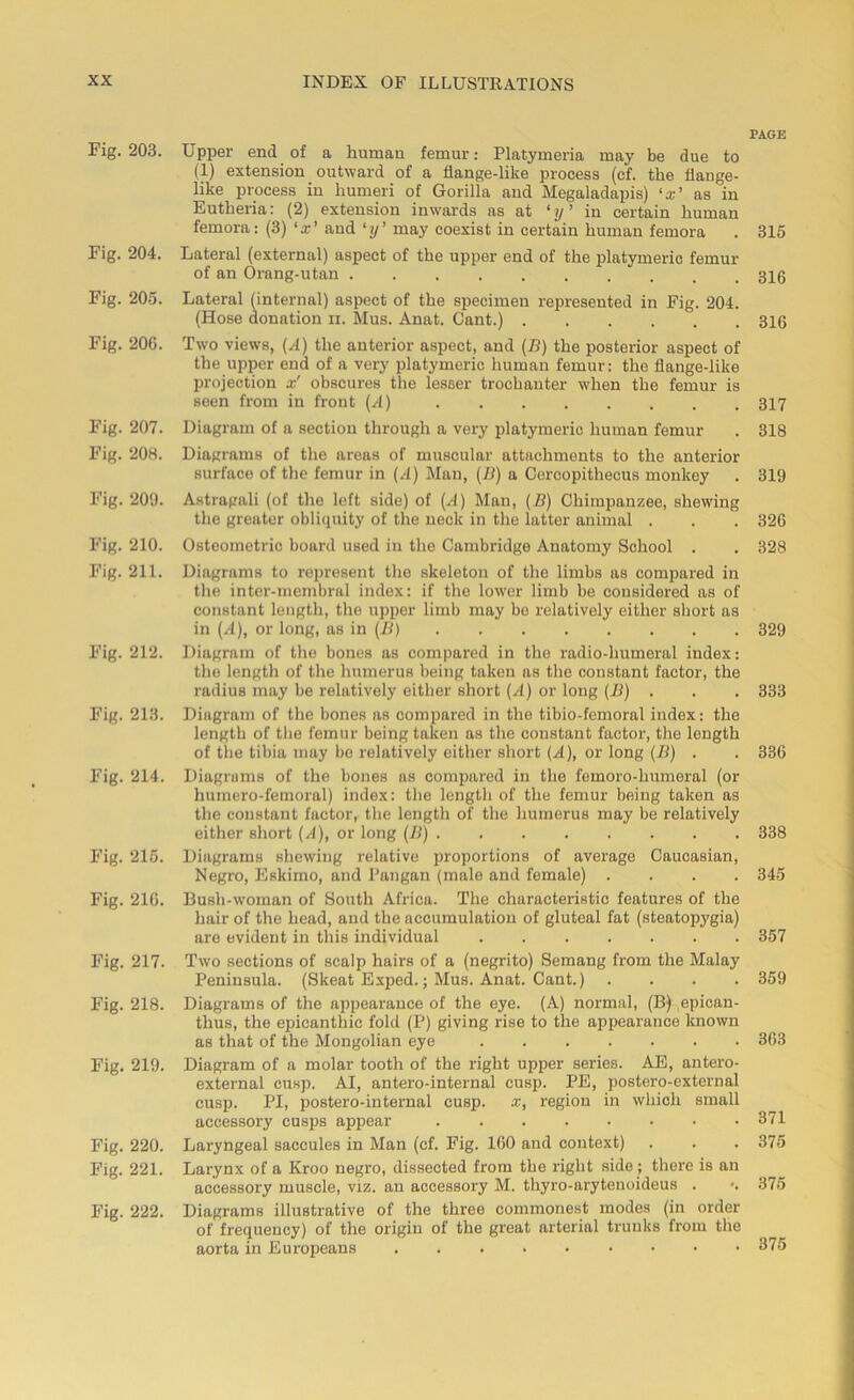 Fig. 203. Fig. 204. Fig. 205. Fig. 206. Fig. 207. Fig. 20H. Fig. 200. Fig. 210. Fig. 211. Fig. 212. Fig. 213. Fig. 214. Fig. 215. Fig. 210. Fig. 217. Fig. 218. Fig. 219. Fig. 220. Fig. 221. Fig. 222. INDEX OF ILLUSTEATIONS PAGE Upper end of a human femur: Platymeria may be due to (1) extension outward of a flange-like process (cf. the flange- like process in humeri of Gorilla and Megaladapis) ‘x’ as in Eutheria: (2) extension inwards as at ‘y ’ in certain human femora: (3) ‘x’ and ‘y’ may coexist in certain human femora . 315 Lateral (external) aspect of the upper end of the platymeric femur of an Orang-utan Lateral (internal) aspect of the specimen represented in Fig. 204. (Hose donation n. Mus. Anat. Cant.) 316 Two views, (A) the anterior aspect, and (B) the posterior aspect of the upper end of a very platymeric human femur: the flange-like projection x' obscures the lesser trochanter when the femur is seen from in front (A) ........ 317 Diagram of a section through a very platymeric human femur . 318 Diagrams of the areas of muscular attachments to the anterior surface of the femur in (A) Man, (B) a Cercopithecus monkey . 319 Astragali (of the left side) of (A) Man, (B) Chimpanzee, shewing the greater obliquity of the neck in the latter animal . . . 326 Osteometric board used in the Cambridge Anatomy School . . 328 Diagrams to represent the skeleton of the limbs as compared in the inter-membral index: if the lower limb be considered as of constant length, the upper limb may be relatively either short as in (A), or long, as in (B) 329 Diagram of the bones as compared in the radio-humeral index: the length of the humerus being taken as the constant factor, the radius may be relatively either short (A) or long (B) . . . 333 Diagram of the bones as compared in the tibio-femoral index: the length of the femur being taken as the constant factor, the length of the tibia may be relatively either short (A), or long (B) . . 336 Diagrams of the bones as compared in the femoro-liumeral (or humero-femoral) index: the length of the femur being taken as the constant factor, the length of the humerus may be relatively either short (A), or long (B) 338 Diagrams shewing relative proportions of average Caucasian, Negro, Eskimo, and Pangan (male and female) .... 345 Bush-woman of South Africa. The characteristic features of the hair of the head, and the accumulation of gluteal fat (steatopygia) are evident in this individual 357 Two sections of scalp hairs of a (negrito) Semang from the Malay Peninsula. (Skeat Exped.; Mus. Anat. Cant.) .... 359 Diagrams of the appearance of the eye. (A) normal, (B) epican- thus, the epicanthic fold (P) giving rise to the appearance known as that of the Mongolian eye 363 Diagram of a molar tooth of the right upper series. AE, antero- external cusp. AI, antero-internal cusp. PE, postero-external cusp. PI, postero-internal cusp, x, region in which small accessory cusps appear 371 Laryngeal saccules in Man (cf. Fig. 160 and context) . . . 375 Larynx of a Kroo negro, dissected from the right side ; there is an accessory muscle, viz. an accessory M. thyro-arytenoideus . *. 375 Diagrams illustrative of the three commonest modes (in order of frequency) of the origin of the great arterial trunks from the aorta in Europeans 375