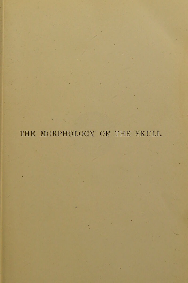 THE MORPHOLOGY OF THE SKULL.