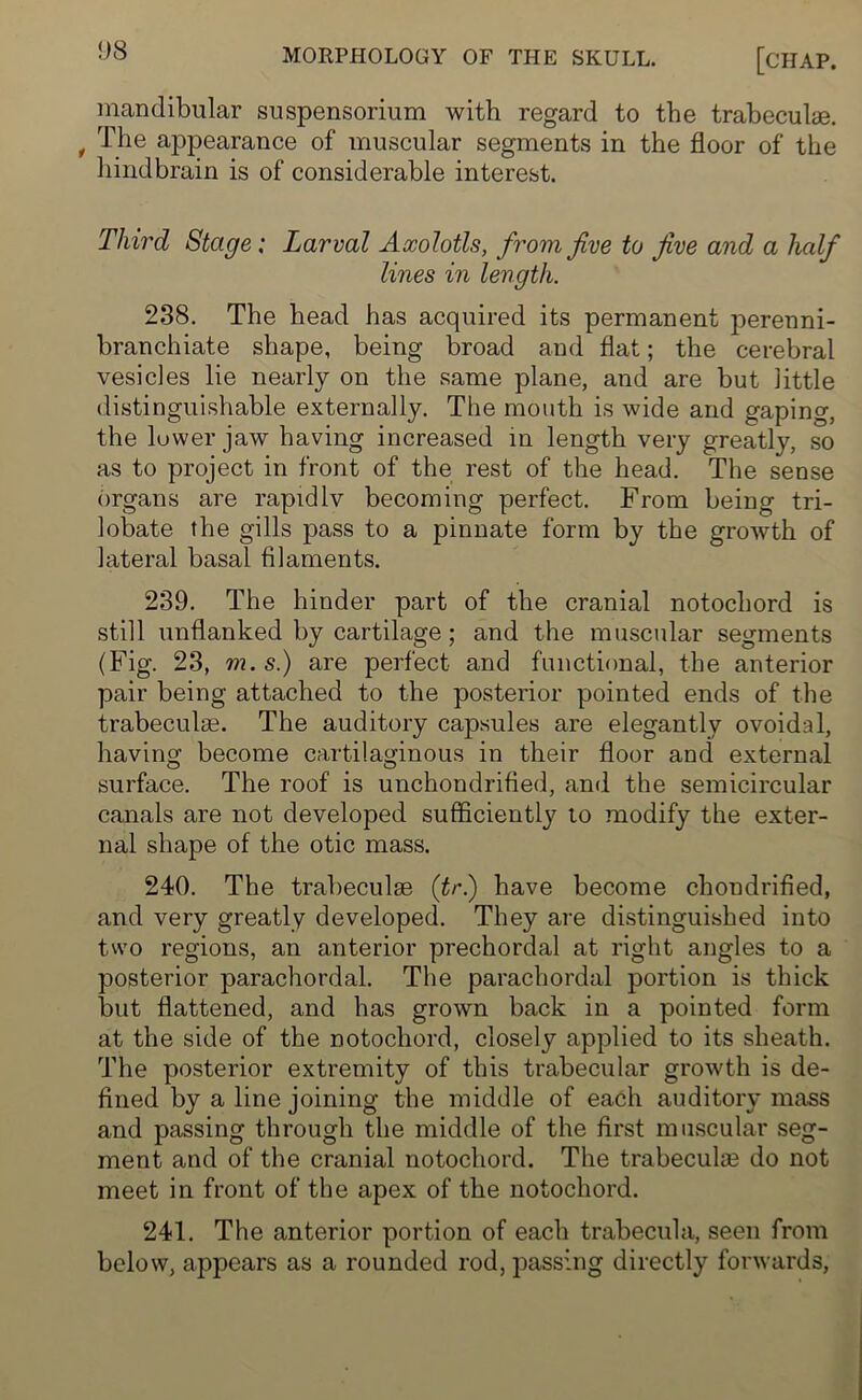 mandibular suspensorium with regard to the trabeculae. , The appearance of muscular segments in the floor of the hindbrain is of considerable interest. Third Stage; Larval Axolotls, from five to five and a half lines in length. 238. The head has acquired its permanent perenni- branchiate shape, being broad and flat; the cerebral vesicles lie nearly on the same plane, and are but little distinguishable externally. The mouth is wide and gaping, the lower jaw having increased in length very greatly, so as to project in front of the rest of the head. The sense organs are rapidlv becoming perfect. From being tri- lobate the gills pass to a pinnate form by the growth of lateral basal filaments. 239. The hinder part of the cranial notochord is still unflanked by cartilage; and the muscular segments (Fig. 23, m.s.) are perfect and functional, the anterior pair being attached to the posterior pointed ends of the trabeculae. The auditory capsules are elegantly ovoidal, having become cartilaginous in their floor and external surface. The roof is unchondrified, and the semicircular canals are not developed sufficiently to modify the exter- nal shape of the otic mass. 240. The trabeculae (tr'.) have become chondrified, and very greatly developed. They are distinguished into two regions, an anterior prechordal at right angles to a posterior parachordal. The parachordal portion is thick but flattened, and has grown back in a pointed form at the side of the notochord, closely applied to its sheath. The posterior extremity of this trabecular growth is de- fined by a line joining the middle of each auditory mass and passing through the middle of the first muscular seg- ment and of the cranial notochord. The trabeculae do not meet in front of the apex of the notochord. 241. The anterior portion of each trabecula, seen from below, appears as a rounded rod, passing directly forwards,