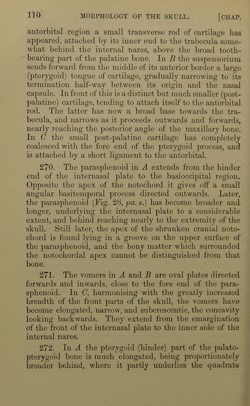 antorbital region a small transverse rod of cartilage has appeared, attached by its inner end to the trabecula some- what behind the internal nares, above the broad tooth- bearing part of the palatine bone. In B the suspensorium sends forward from the middle of its anterior border a large (pterygoid) tongue of cartilage, gradually narrowing to its termination half-way between its origin and the nasal capsule. In front of this is a distinct but much smaller (post- palatine) cartilage, tending to attach itself to the antorbital rod. The latter has now a broad base towards the tra- becula, and narrows as it proceeds outwards and forwards, nearly reaching the posterior angle of the maxillary bone. In C the small post-palatine cartilage has completely coalesced with the fore end of the pterygoid process, and is attached by a short ligament to the antorbital. 270. The parasphenoid in A extends from the hinder end of the internasal plate to the basioccipital region. Opposite the apex of the notochord it gives off a small angular basitemporal process directed outwards. Later, the parasphenoid (Fig. 26, pa. s.) has become broader and longer, underlying the internasal plate to a considerable extent, and behind reaching nearly to the extremity of the skull. Still later, the apex of the shrunken cranial noto- chord is found lying in a groove on the upper surface of the parasphenoid, and the bony matter which surrounded the notochordal apex cannot be distinguished from that bone. 271. The vomers in A and B are oval plates directed forwards and inwards, close to the fore end of the para- sphenoid. In C, harmonising with the greatly increased breadth of the front parts of the skull, the vomers have become elongated, narrow, and subcrescentic, the concavity looking backwards. They extend from the emargination of the front of the internasal plate to the inner side of the internal nares. 272. In A the pterygoid (hinder) part of the palato- pterygoid bone is much elongated, being proportionately broader behind, where it partly underlies the quadrate