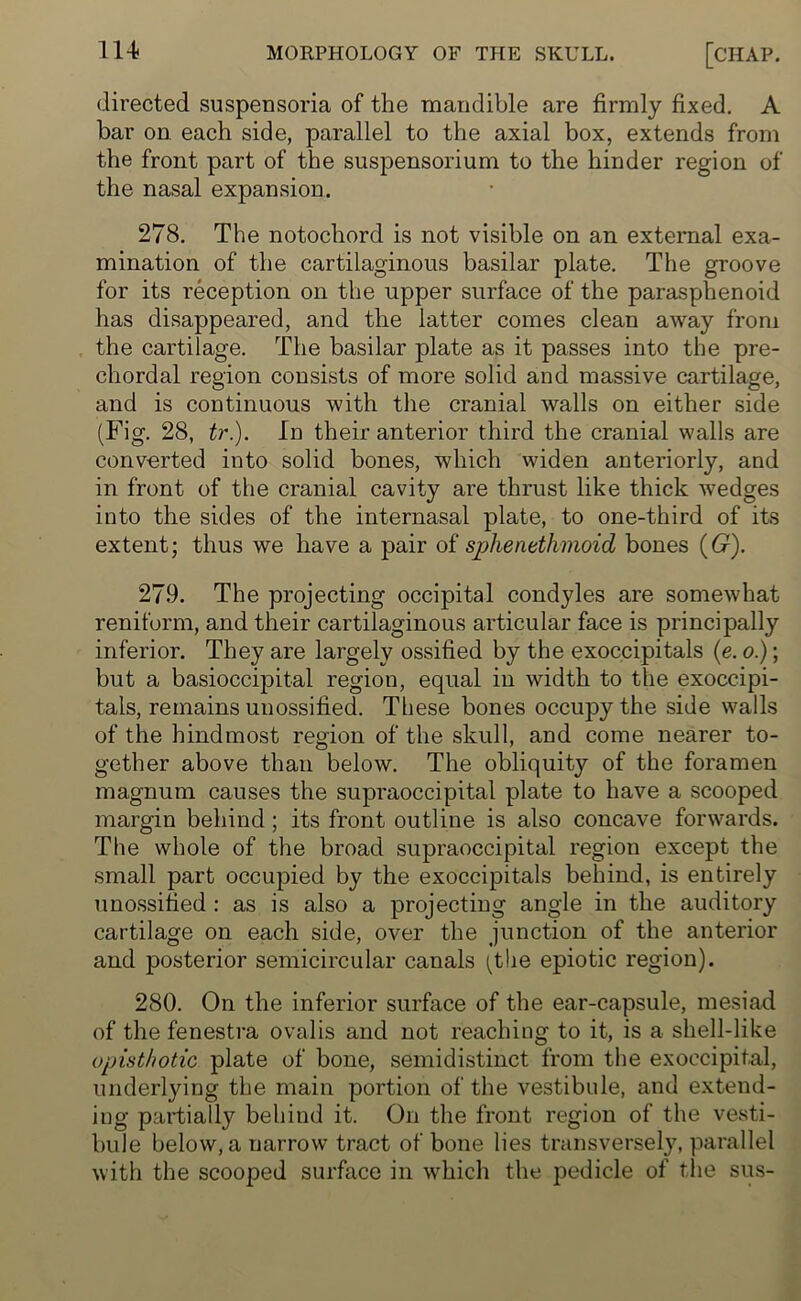 directed suspensoria of the mandible are firmly fixed. A bar on each side, parallel to the axial box, extends from the front part of the suspensorium to the hinder region of the nasal expansion. 278. The notochord is not visible on an external exa- mination of the cartilaginous basilar plate. The groove for its reception on the upper surface of the parasphenoid has disappeared, and the latter comes clean away from the cartilage. The basilar plate as it passes into the pre- chordal region consists of more solid and massive cartilage, and is continuous with the cranial walls on either side (Fig. 28, tr). In their anterior third the cranial walls are converted into solid bones, which widen anteriorly, and in front of the cranial cavity are thrust like thick wedges into the sides of the internasal plate, to one-third of its extent; thus we have a pair of sphenethmoid bones (G). 279. The projecting occipital condyles are somewhat reniform, and their cartilaginous articular face is principally inferior. They are largely ossified by the exoccipitals (e. o.); but a basioccipital region, equal in width to the exoccipi- tals, remains unossified. These bones occupy the side walls of the hindmost region of the skull, and come nearer to- gether above than below. The obliquity of the foramen magnum causes the supraoccipital plate to have a scooped margin behind; its front outline is also concave forwards. The whole of the broad supraoccipital region except the small part occupied by the exoccipitals behind, is entirely unossified : as is also a projecting angle in the auditory cartilage on each side, over the junction of the anterior and posterior semicircular canals (the epiotic region). 280. On the inferior surface of the ear-capsule, mesiad of the fenestra ovalis and not reaching to it, is a shell-like opisthotic plate of bone, semidistinct from the exoecipital, underlying the main portion of the vestibule, and extend- ing partially behind it. On the front region of the vesti- bule below, a narrow tract of bone lies transversely, parallel with the scooped surface in which the pedicle of the sus-