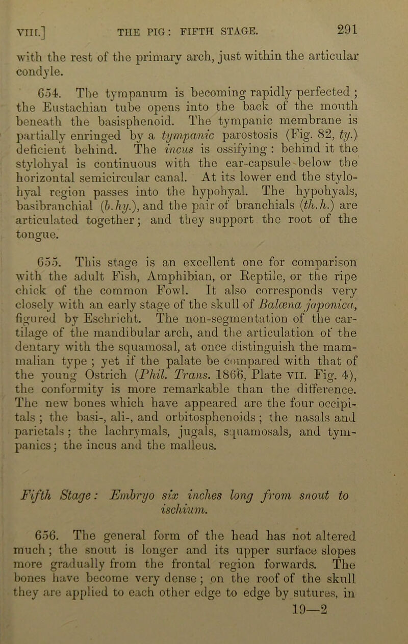 with the rest of the primary arch, just within the articular condyle. 654. The tympanum is becoming rapidly perfected ; the Eustachian tube opeus into the back ot the mouth beneath the basisphenoid. The tympanic membrane is partially enringed by a tympanic parostosis (Fig. 82, ty.) deficient behind. The incus is ossifying : behind it the stylohyal is continuous with the ear-capsule below the horizontal semicircular canal. At its lower end the stylo- hyal region passes into the hypohyal. The hypohyals, basibrnnchial (b.hy.), and the pair of branchials (th.h.) are articulated together; and they support the root of the tongue. 655. This stage is an excellent one for comparison with the adult Fish, Amphibian, or Reptile, or the ripe chick of the common Fowl. It also corresponds very closely with an early stage of the skull of Balcena japonic/1, figured by Eschricht. The non-segmentation of the car- tilage of the mandibular arch, and the articulation of the dentary with the squamosal, at once distinguish the mam- malian type ; yet if the palate be compared with that of the young Ostrich {Phil. Trans. 1866, Plate vii. Fig. 4), the conformity is more remarkable than the difference. The new bones which have appeared are the four occipi- tals ; the basi-, ali-, and orbitosphenoids ; the nasals and parietals ; the lachrymals, jugals, squamosals, and tym- panies ; the incus and the malleus. Fifth Stage: Embryo six inches long from snout to ischium. 656. The general form of the head has not altered much ; the snout is longer and its upper surface slopes more gradually from the frontal region forwards. The bones have become very dense ; on the roof of the skull they are applied to each other edge to edge by sutures, in 19—2