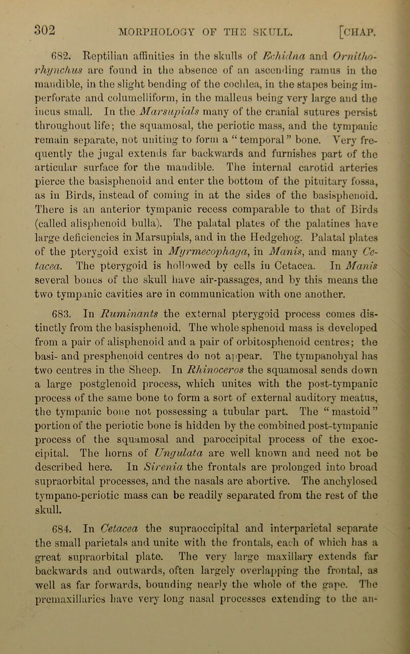 682. Reptilian affinities in the skulls of Echidna and Ornitho- rhynchus are found in the absence of an ascending ramus in the mandible, in the slight bending of the cochlea, in the stapes being im- perforate and columelliform, in the malleus being very large and the incus small. In the Marsupials many of the cranial sutures persist throughout life; the squamosal, the periotic mass, and the tympanic remain separate, not uniting to form a “temporal” bone. Very fre- quently the jugal extends far backwards and furnishes part of the articular surface for the mandible. The internal carotid arteries pierce the basisphenoid and enter the bottom of the pituitary fossa, as in Birds, instead of coming in at the sides of the basisphenoid. There is an anterior tympanic recess comparable to that of Birds (called alisphenoid bulla). The palatal plates of the palatines have large deficiencies in Marsupials, and in the Hedgehog. Palatal plates of the pterygoid exist in Myrmecophaga, in Manis, and many Ce- tacea. The pterygoid is hollowed by cells in Cetacea. In Manis several bones of the skull have air-passages, and by this meaus the two tympanic cavities are in communication with one another. 6S3. In Ruminants the external pterygoid process comes dis- tinctly from the basisphenoid. The whole sphenoid mass is developed from a pair of alisphenoid and a pair of orbitosphenoid centres; the basi- and presphenoid centres do not appear. The tympanohyal has two centres in the Sheep. In Rhinoceros the squamosal sends down a large postglenoid process, which unites with the post-tympanic process of the same bone to form a sort of external auditory meatus, the tympanic bone not possessing a tubular part. The “mastoid” portion of the periotic bone is hidden by the combined post-tympanic process of the squamosal and paroccipital process of the exoc- cipital. The horns of Ungulata are well known and need not be described here. In Sirenia the frontals are prolonged into broad supraorbital processes, and the nasals are abortive. The ancliylosed tympano-periotic mass can be readily separated from the rest of the skull. 684. In Cetacea the supraoccipital and interparietal separate the small parietals and unite with the frontals, each of which has a great supraorbital plate. The very large maxillary extends far backwards and outwards, often largely overlapping the frontal, as well as far forwards, bounding nearly the whole of the gape. The premaxillaries have very long nasal processes extending to the an-