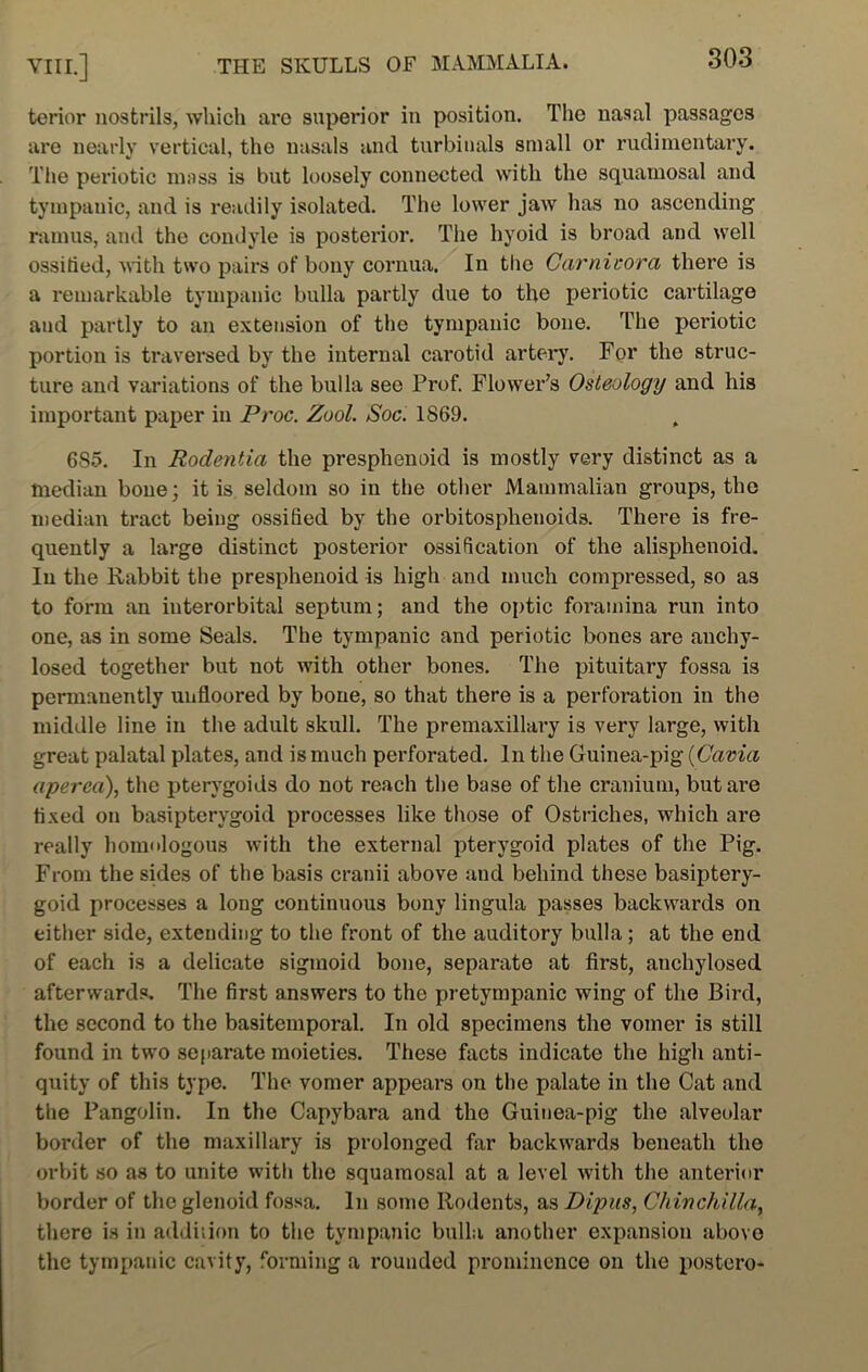 terior nostrils, which are superior in position. The nasal passages are nearly vertical, the nasals and turbinals small or rudimentary. The periotic mass is but loosely connected with the squamosal and tympanic, and is readily isolated. The lower jaw has no ascending ramus, and the condyle is posterior. The hyoid is broad and well ossified, with two pairs of bony cornua. In the Carnivora there is a remarkable tympanic bulla partly due to the periotic cartilage and partly to an extension of the tympanic bone. The periotic portion is traversed by the internal cai’otid artery. For the struc- ture and variations of the bulla see Frof. Flower’s Osteology and his important paper in Proc. Zool. Soc. 1869. 6S5. In Rodentia the presphenoid is mostly very distinct as a median bone; it is seldom so in the other Mammalian groups, the median tract being ossified by the orbitosphenoids. There is fre- quently a large distinct posterior ossification of the alisphenoid. In the Rabbit the presphenoid is high and much compressed, so as to form an interorbital septum; and the optic foramina run into one, as in some Seals. The tympanic and periotic bones are anchy- losed together but not with other bones. The pituitary fossa is permanently unfloored by bone, so that there is a perforation in the middle line in the adult skull. The premaxillary is very large, with great palatal plates, and is much perforated. In the Guinea-pig (Cavia aperca), the pterygoids do not reach the base of the cranium, but are fixed on basipterygoid processes like those of Ostriches, which are really homologous with the external pterygoid plates of the Pig. From the sides of the basis cranii above and behind these basiptery- goid processes a long continuous bony lingula passes backwards on either side, extending to the front of the auditory bulla; at the end of each is a delicate sigmoid bone, separate at first, anchylosed afterwards. The first answers to the pretympanic wing of the Bird, the second to the basitemporal. In old specimens the vomer is still found in two separate moieties. These facts indicate the high anti- quity of this type. The vomer appears on the palate in the Cat and the Pangolin. In the Capybara and the Guinea-pig the alveolar border of the maxillary is prolonged far backwards beneath the orbit so as to unite with the squamosal at a level with the anterior border of the glenoid fossa. In some Rodents, as Dipus, Chinchilla, there is in addition to the tympanic bulla another expansion above the tympanic cavity, forming a rounded prominence on the postcro-