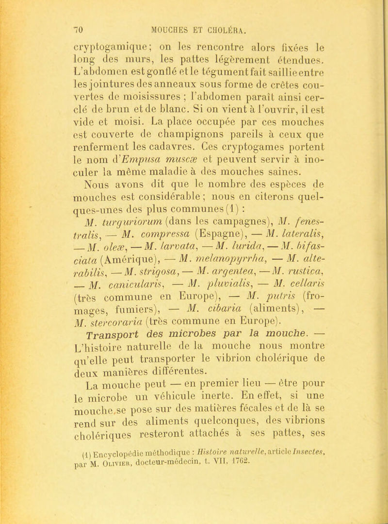 cryptogamiquc ; on les rencontre alors fixées le long des murs, les pattes légèrement étendues. L'abdomen est gonflé et le tégument fait saillieentre les jointures des anneaux sous forme de crêtes cou- vertes de moisissures ; l'abdomen paraît ainsi cer- clé de brun et de blanc. Si on vient à l'ouvrir, il est vide et moisi. La place occupée par ces mouches est couverte de champignons pareils à ceux que renferment les cadavres. Ces cryptogames portent le nom à'Empusa muscse et peuvent servir à ino- culer la même maladie à des mouches saines. Nous avons dit que le nombre des espèces de mouches est considérable ; nous en citerons quel- ques-unes des plus communes (1) : M. turguriorimi (dans les campagnes), M. fenes- tralis, — M. compressa (Espagne), — M. lateralis, M. olese^ — M. larvata, — M. lurida^ — M. hifas- ciata (Amérique), — M. melanopyrrha, — M. alte- rabilis, —M. strigosa,— M. argentea, —M. nistica, M. caniciilaris, — M. pluvialis, — M. cellaris (très commune en Europe), — M. putris (fro- mages, fumiers), — M. cibaria (aliments), — M. stercoraria (très commune en Europe). Transport des microbes par la mouche. — L'histoire naturelle de la mouche nous montre qu'elle peut transporter le vibrion cholérique de deux manières différentes. La mouche peut — en premier lieu — être pour le microbe un véhicule inerte. En effet, si une mouche.se pose sur des matières fécales et de là se rend sur des aliments quelconques, des vibrions cholériques resteront attachés à ses pattes, ses (1) Encyclopédie méthodique : Histoire nahirelle,Oirtic\eInsectes, par M. Olivier, docteur-médecin, t. VU, 1762.