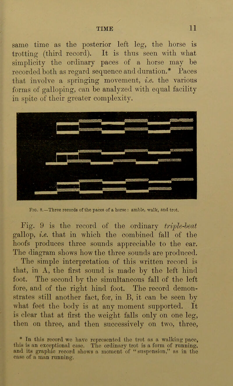 same time as the posterior left leg, the horse is trotting (third record). It is thus seen with what simj)licity the ordinary paces of a horse may be recorded both as regard sequence and duration.* Paces that involve a springing movement, i.e. the various forms of galloping, can be analyzed with equal facility in spite of their greater complexity. Fig. 9 is the record of the ordinary trii^le-heat gallop, i.e. that in which the combined fall of the hoofs produces three sounds appreciable to the ear. The diagram shows how the three sounds are produced. The simple interpretation of this written record is that, in A, the first sound is made by the left hind foot. The second by the simultaneous fall of tlie left fore, and of the right hind foot. The record demon- strates still another fact, for, in B, it can be seen by what feet tlie body is at any moment supported. It is clear that at first the weight falls only on one leg, tlien on three, and then successively on two, three, * In this record wo liave represented the trot as a walking pace, this is an exceptional case. Tlie ordinary trot is a form of running, and its graphic record shows a moment of “suspension,” ns in the case of a man running.