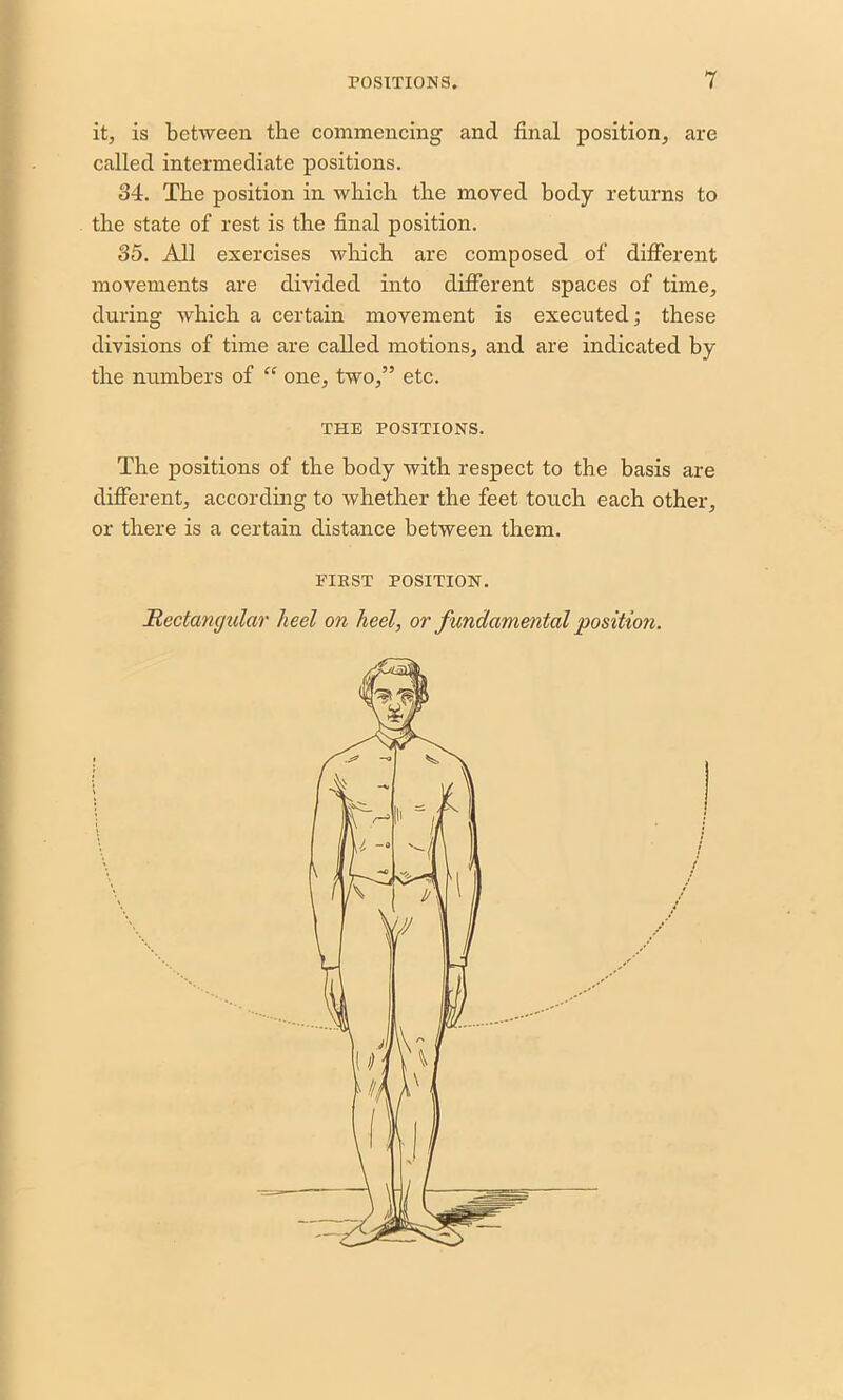 it, is between the commencing and final position, are called intermediate positions. 34. The position in which the moved body returns to the state of rest is the final position. 35. All exercises which are composed of different movements are divided into different spaces of time, during which a certain movement is executed; these divisions of time are called motions, and are indicated by the numbers of “ one, two,” etc. THE POSITIONS. The positions of the body with respect to the basis are different, according to whether the feet touch each other, or there is a certain distance between them. FIRST POSITION. Rectangular heel on heel, or fundamental position.