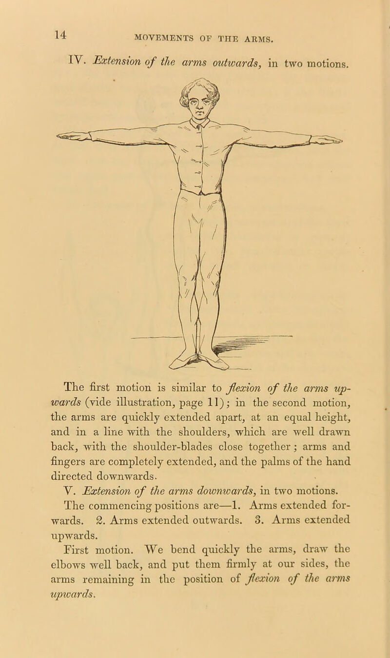 IV. Extension of the arms outwards, in two motions. The first motion is similar to flexion of the arms up- wards (vide illustration, page 11); in the second motion, the arms are quickly extended apart, at an equal height, and in a line with the shoulders, which are well drawn hack, with the shoulder-blades close together; arms and fingers are completely extended, and the palms of the hand directed downwards. Y. Extension of the arms downwards, in two motions. The commencing positions are—1. Arms extended for- wards. 2. Arms extended outwards. 3. Arms extended upwards. First motion. We bend quickly the arms, draw the elbows well back, and put them firmly at our sides, the arms remaining in the position of fcxion of the arms upwards.