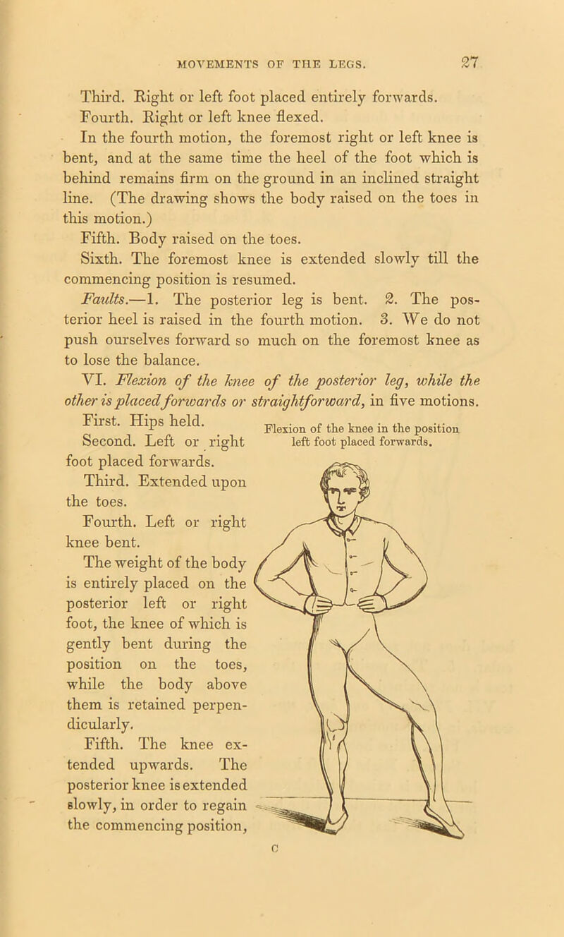 Third. Right or left foot placed entirely forwards. Fourth. Right or left knee flexed. In the fourth motion, the foremost right or left knee is bent, and at the same time the heel of the foot which is behind remains firm on the ground in an inclined straight line. (The drawing shows the body raised on the toes in this motion.) Fifth. Body raised on the toes. Sixth. The foremost knee is extended slowly till the commencing position is resumed. Faults.—1. The posterior leg is bent. 2. The pos- terior heel is raised in the fourth motion. 3. We do not push ourselves forward so much on the foremost knee as to lose the balance. VI. Flexion of the knee of the posterior leg, while the other is placed forwards or straightforward, in five motions. First. Hips held. Second. Left or right foot placed forwards. Third. Extended upon the toes. Fourth. Left or right knee bent. The weight of the body is entirely placed on the posterior left or right foot, the knee of which is gently bent during the position on the toes, while the body above them is retained perpen- dicularly. Fifth. The knee ex- tended upwards. The posterior knee is extended slowly, in order to regain the commencing position, Flexion of the knee in the position left foot placed forwards.