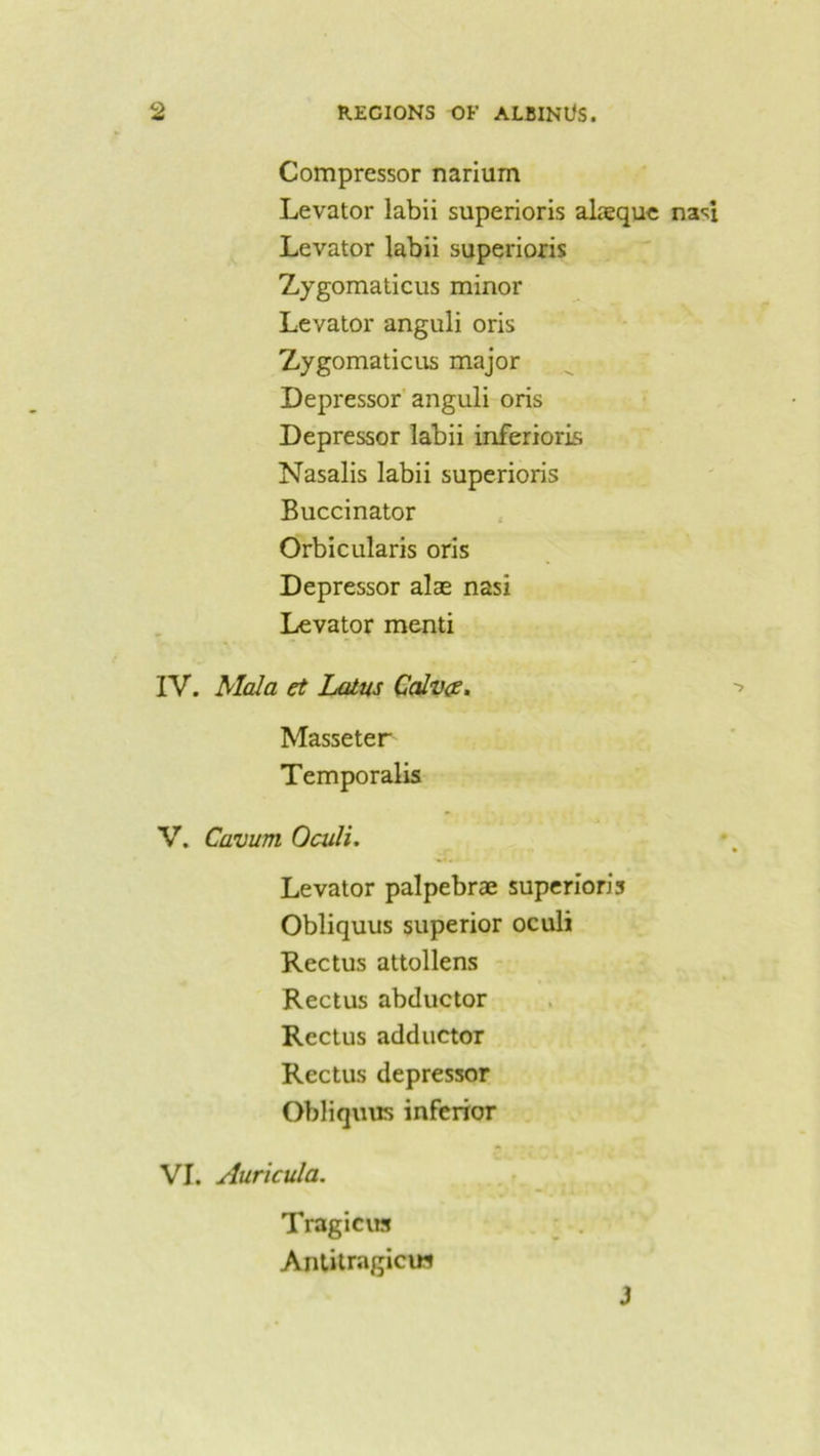 Compressor narium Levator labii superioris alaeque nasi Levator labii superioris Zygomaticus minor Levator anguli oris Zygomaticus major Depressor anguli oris Depressor labii inferioris Nasalis labii superioris Buccinator Orbicularis oris Depressor alae nasi Levator menti IV. Mala et Lotus Calvce. Masseter Temporalis V. Cavum Oculi. Levator palpebrae superioris Obliquus superior oculi Rectus attollens Rectus abductor Rectus adductor Rectus depressor Obliquus inferior VI. Auricula. Tragicus Antitragicui