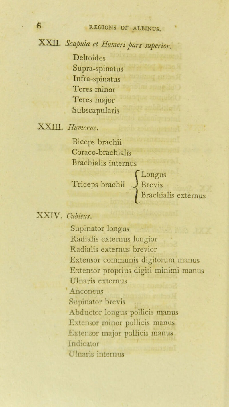 XXII. iScupula et Humeri purs superior. Deltoides Supra-spinatus Infra-spinatus Teres minor Teres major Subscapularis XXIII. Humerus. Biceps brachii Coraco-brachialis Brachialis internus f Longus Triceps brachii J Brevis I Brachialis extemus XXIV. Cubitus. Supinator longus Radialis externus longior Radialis externus brevior Extensor communis digitorum manus Extensor proprius digiti minimi manus Ulnaris extemus Anconeas Supinator brevis Abductor longus pollicis manus Extensor minor pollicis manus Extensor major pollicis manus Indicator Ulnaris internus