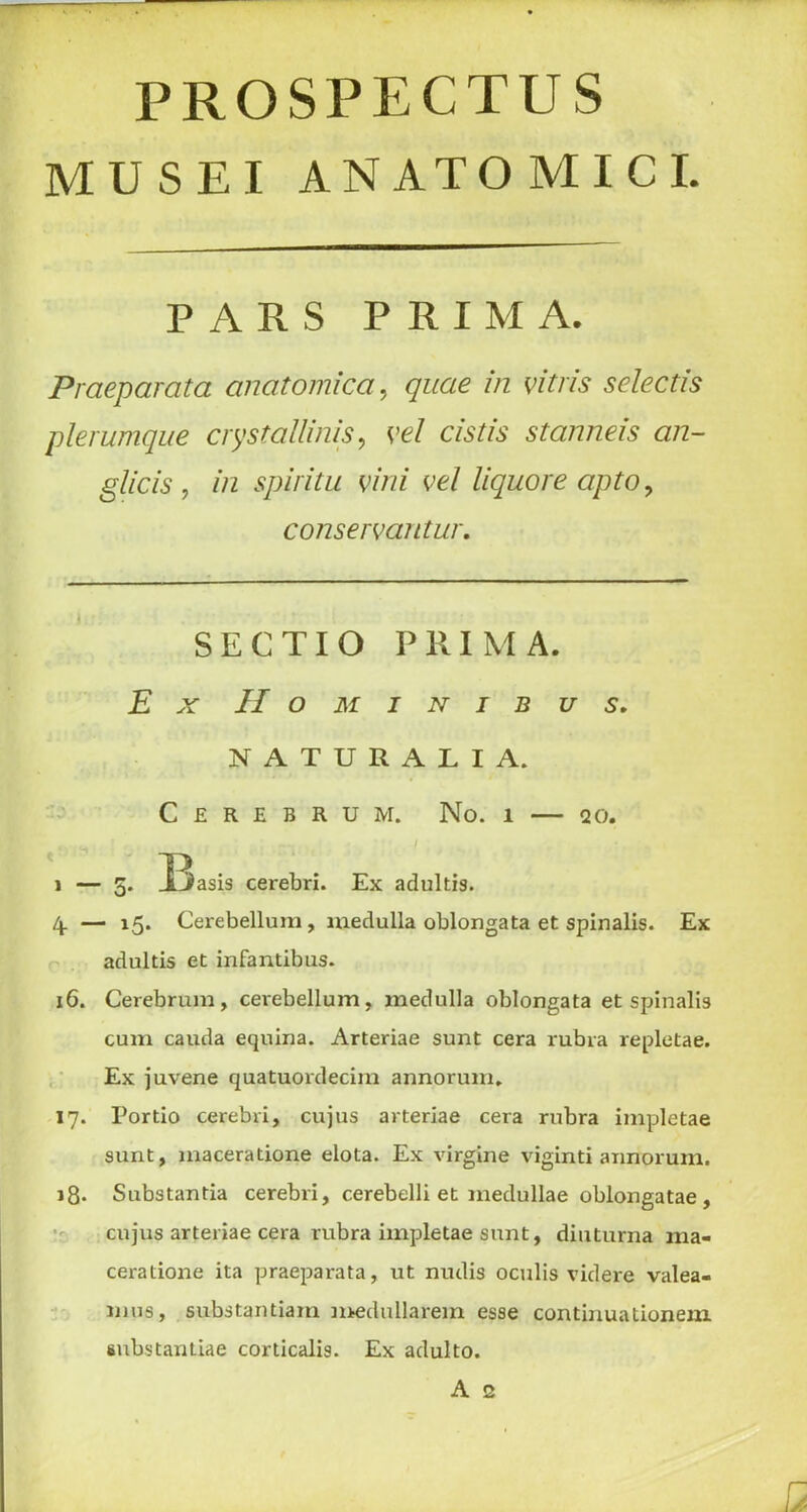 PROSPECTUS MUSEI ANATOMICI. PARS PRIMA. Praeparata anatomica, quae in vitris selectis pleiunique crystallines, vel cistis stanneis an- giitis, in spiritu vini vel liquore apto, conservantur. SECTIO PRIMA. Ex Hominibus. NATURALIA. Cerebrum. No. i — qo. » — 5. J3asis cerebri. Ex adultis. 4. — 15. Cerebellum, medulla oblongata et spinalis. Ex adultis et infantibus. 16. Cerebrum, cerebellum, medulla oblongata et spinalis cum cauda equina. Arteriae sunt cera rubra repletae. Ex juvene quatuordecirn annorum, 17. Portio cerebri, cujus arteriae cera rubra impletae sunt, maceratione elota. Ex virgine viginti annorum. 18. Substantia cerebri, cerebelli et medullae oblongatae, cujus arteriae cera rubra impletae sunt, diuturna ma- ceratione ita praeparata, ut nudis oculis videre valea- mus, substantiam medullarem esse continuationem aubstantiae corticalis. Ex adulto.