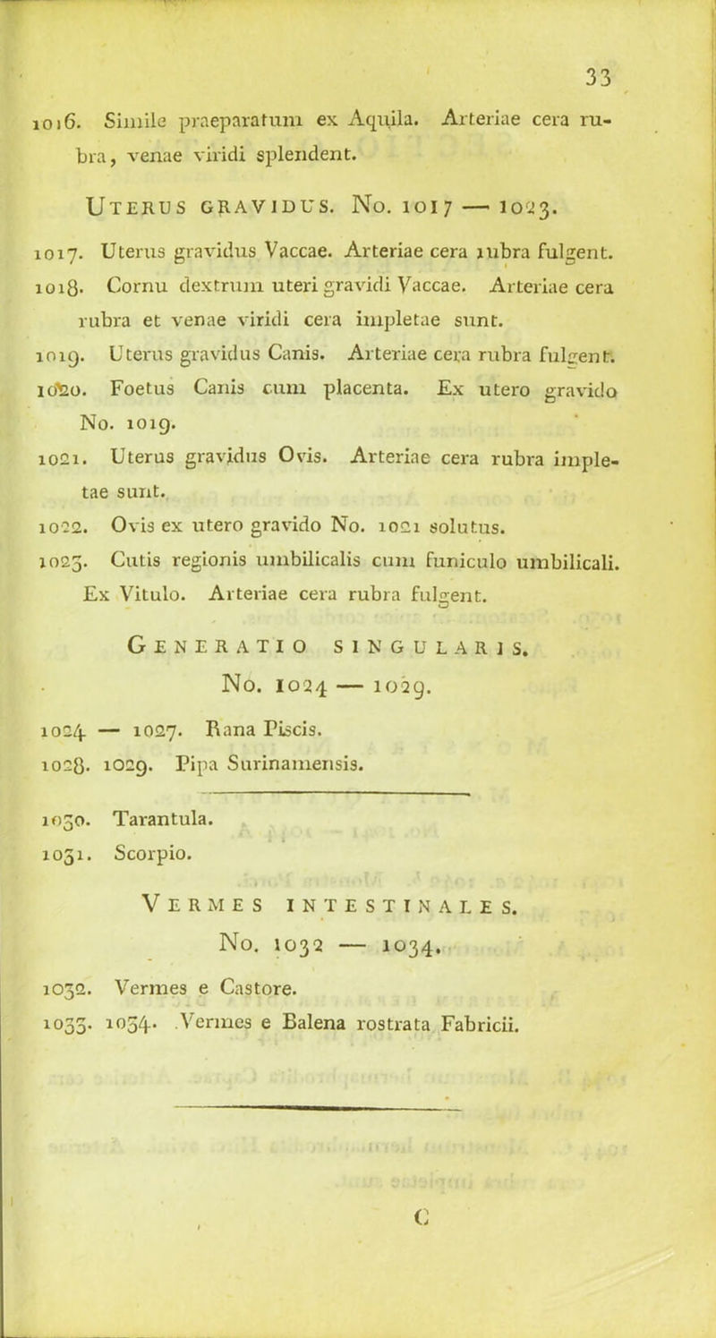 1016. Simile praeparatum ex Aqiiila. Arteriae cera ru- bra, venae viridi splendent. Uterus gravidus. No. 1017—' 1023. 1017. Uterus gravidus Vaccae. Arteriae cera rubra fulgent. 1018* Cornu dextrum uteri gravidi Vaccae. Arteriae cera rubra et venae viridi cera impletae sunt. 1019. Uterus gravidus Canis. Arteriae cera rubra fulgent. 10^20. Foetus Canis cum placenta. Ex utero gravido No. 10x9. 1021. Uterus gravidus Ovis. Arteriae cera rubra imple- tae sunt. 1022. Ovis ex utero gravido No. 1021 solutus. 1025. Cutis regionis umbilicalis cum funiculo umbilicali. Ex Vitulo. Arteriae cera rubra fulgent. < / GENERATIO SINGULAR] S, No. 1024 — 1029. 1024. — 1027. Rana Fiscis. 1028. 1029. Pipa Surinamensis. 1050. Tarantula. • 1 I 1031. Scorpio. . i)Ui : ’ M • 'iV1 Vermes intestinales. No. 1032 — 1034, 1032. Vermes e Castore. 1033. 1054. Vermes e Balena rostrata Fabricii. C