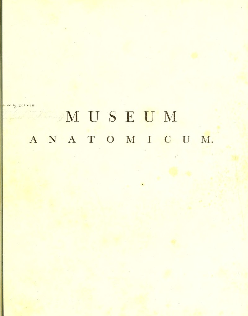 MUSEUM ANATOMI CUM. r