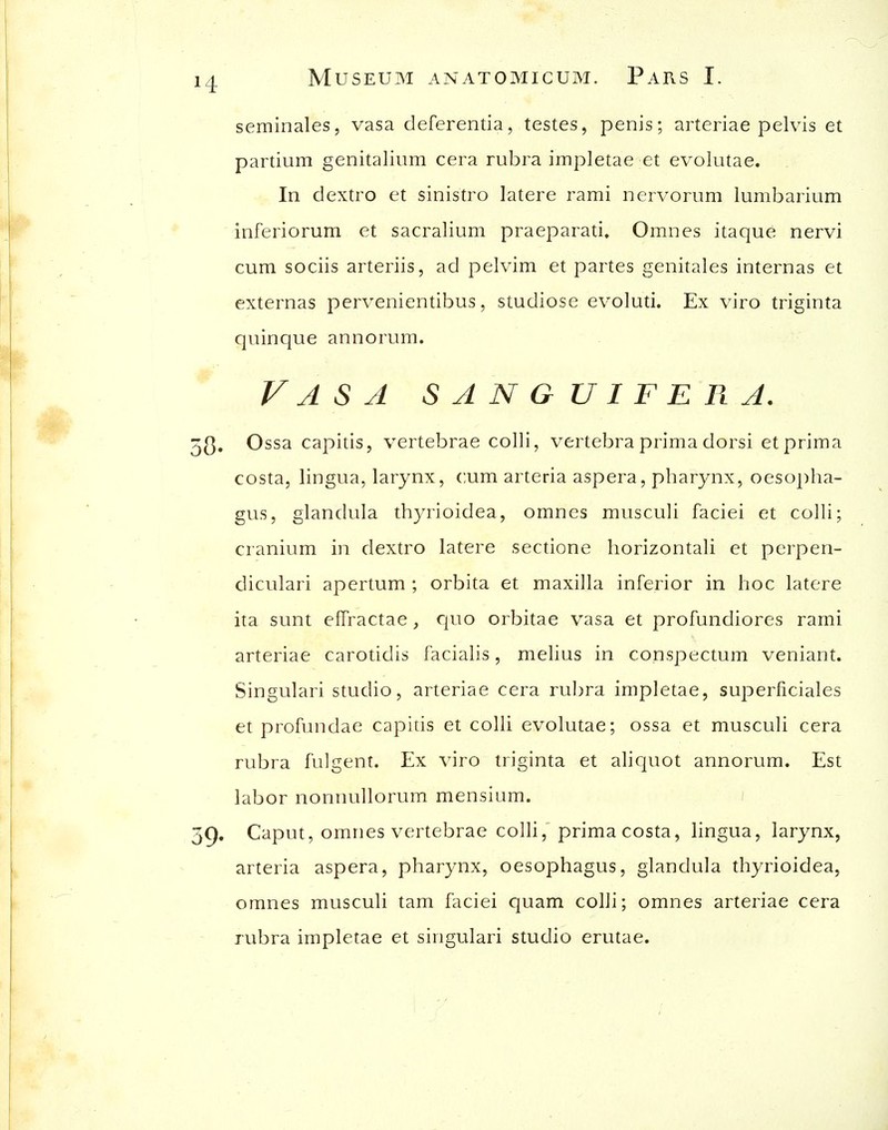 seminales, vasa deferentia, testes, penis; arteriae pelvis et partium genitalium cera rubra impletae et evolutae. In dextro et sinistro latere rami nervorum lumbarium inferiorum et sacralium praeparati* Omnes itaque nervi cum sociis arteriis, ad pelvim et partes genitales internas et externas pervenientibus, studiose evoluti. Ex viro triginta quinque annorum. Vasa sanguifera. Ossa capitis, vertebrae colli, vertebra prima dorsi et prima costa, lingua, larynx, cum arteria aspera, pharynx, oesopha- gus, glandula thyrioidea, omnes musculi faciei et colli; cranium in dextro latere sectione horizontali et perpen- dicular! apertum ; orbita et maxilla inferior in hoc latere ita sunt effractae, cjuo orbitae vasa et profundiores rami arteriae carotidis facialis, melius in conspectum veniant. Singular! studio, arteriae cera rubra impletae, superficiales et profundae capitis et colli evolutae; ossa et musculi cera rubra fulgent. Ex viro triginta et aliquot annorum. Est labor nonnullorum mensium. Caput, omnes vertebrae colli, prima costa, lingua, larynx, arteria aspera, pharynx, oesophagus, glandula thyrioidea, omnes musculi tarn faciei quam colli; omnes arteriae cera rubra impletae et singular! studio erutae.