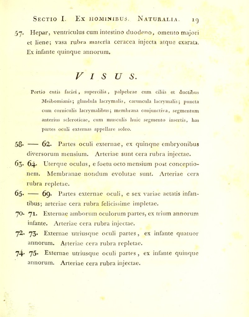 5'7. Hepar, ventriculus cum intestino duocleno, omento majori et liene; vasa rubra materia ceracea injecta atque exarata. Ex infante quinque annorum* V I s u s. Portio cutis faciei , siipercilia , palpebrae cum ciliis et ductiljus Meibomianis; glandula lacrymalis, caruncula laciymalis; puncta cum corniculis laciymalibus; membrana conjunctiv^a, segmentum anterius scleroticae, cum musculis huic segmento insertis, has partes oculi externas appellare soleo. 58* 62. Partes oculi externae, ex quinque embryonibus diversorum mensium. Arteriae sunt cera rubra injectae, 63* 64* Uterque oculus, e foetu octo mensium post conceptio- nem. Membranae nondum evolutae sunt. Arteriae cera rubra repletae. 65* 69* Partes externae oculi, e sex variae aetatis infan- tibus; arteriae cera rubra felicissime impletae. 70* Externae amborum oculorum partes, ex trium annorum infante. Arteriae cera rubra injectae. 72. 73* Externae utriusque oculi partes , ex infante quatuor annorum. Arteriae cera rubra repletae. 74* 75* Externae utriusque oculi partes , ex infante quinque annorum. Arteriae cera rubra injectae.