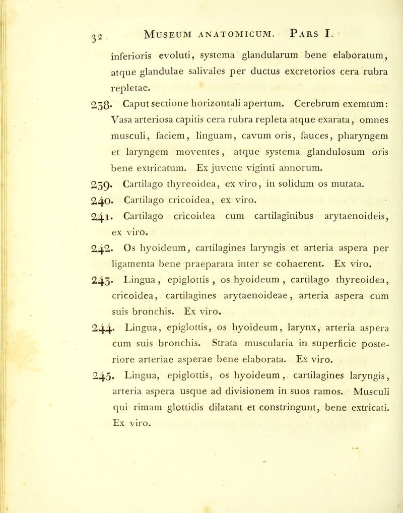 inferioris evoluti, systema glandularum bene elaboratum., atque glandulae salivales per ductus excretorios cera rubra repletae. 238» Caput sectione horizontali apertum. Cerebrum exemtum: Vasa arteriosa capitis cera rubra repleta atque exarata, omnes musculi, faciem, linguam, cavum oris, fauces, pharyngem et laryngem moventes, atque systema glandulosum oris bene extricatum. Ex juvene viginti annorum. 259. Cartilago thyreoidea, ex viro, in solidum os mutata. 240* Cartilago cricoidea, ex viro. 241* Cartilago cricoidea cum cartilaginibus arytaenoideis, ex viro. 242« Os hyoideum, cartilagines laryngis et arteria aspera per ligamenta bene praeparata inter se cohaerent. Ex viro. 243' Lingua, epiglottis, os hyoideum , cartilago thyreoidea, cricoidea, cartilagines arytaenoideae, arteria aspera cum suis bronchis. Ex viro. 244* Lingua, epiglottis, os hyoideum, larynx, arteria aspera cum suis bronchis. Strata muscularia in superficie poste- riore arteriae asperae bene elaborata. Ex viro. 245* Lingua, epiglottis, os hyoideum, cartilagines laryngis, arteria aspera usque ad divisionem in suos ramos. Musculi qui rimam glottidis dilatant et constringunt, bene extricati. Ex viro.