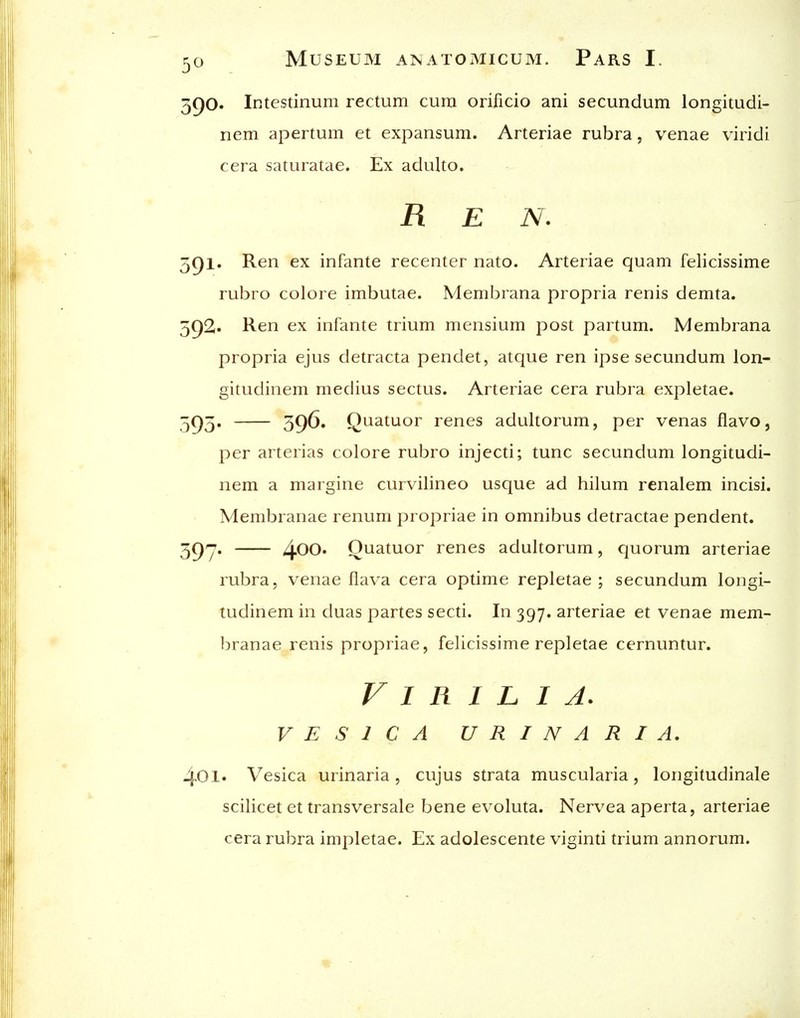 5()0. Intcstinum rectum cura orificio ani secundum longitudi- nem apertum et expansum. Arteriae rubra, venae viridi cera saturatae. Ex adulto. Ren. 5C)i. Ren ex infante recenter nato. Arteriae quam felicissime rubro colore imbutae. Membrana propria renis demta. 5^2. Ren ex infante trium mensium post partum. Membrana propria ejus detracta pendet, atque ren ipse secundum lon- gitudinem medius sectus. Arteriae cera rubra expletae. 50)5, 59^» Quatuor renes adultorum, per venas flavo, per arterias colore rubro injecti; tunc secundum longitudi- nem a margine curvilineo usque ad hilum renalem incisi. Membranae renum propriae in omnibus detractae pendent. 5C)'j. 4^0. Quatuor renes adultorum, quorum arteriae rubra, venae flava cera optime repletae ; secundum longi- tudinem in duas partes secti. In 397. arteriae et venae mem- branae renis propriae, felicissime repletae cernuntur. F I R I L I A. V E S 1 C A URINARIA. 401. Vesica urinaria, cujus strata muscularia, longitudinale scilicet et transversale bene evoluta. Nervea aperta, arteriae cera rubra impletae. Ex adolescente viginti trium annorum.
