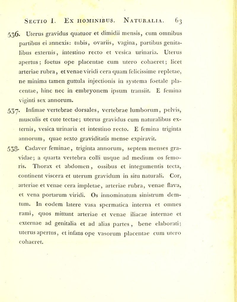 536. Uterus gravidus quatuor et dimidii mcnsis, cum omnibus partibus ei annexis: tubis, ovariis, vagina, partibus genita- libus externis, intestine recto et vesica urinaria. Uterus apertus; foetus ope placentae cum utero cohaeret; licet arteriae rubra, et venae viridi cera c|uam felicissime repletae, ne minima tamen guttula injectionis in systema foetale pla- centae, hinc nec in embryonem ipsum transiit. E femina viginti sex annorum. 537. Infimae vertebrae dorsales, vertebrae lumborum, pelvis, musculis et cute tectae; uterus gravidus cum naturalibus ex- ternis, vesica urinaria et intestino recto. E femina triginta annorum, quae sexto graviditatis mense expiravit. 538' Cadaver feminae, triginta annorum, septem menses gra- vidae; a quarta vertebra colli usque ad medium os femo- ris. Thorax et abdomen, ossibus et integumentis tecta, continent viscera et uterum gravidum in situ naturali. Cor, arteriae et venae cera impletae, arteriae rubra, venae flava, et vena portarum viridi. Os innominatum sinistrum dem- tum. In eodem latere vasa spermatica interna et omnes rami, quos mittunt arteriae et venae iliacae internae et externae ad genitalia et ad alias partes, bene elaborati; uterus apertus, et infans ope vasorum placentae cum utero cohaeret.