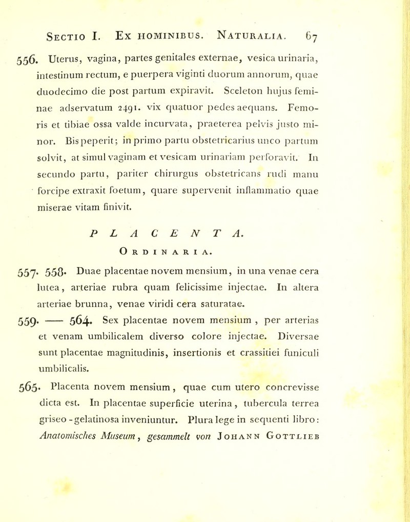 556. Uterus, vagina, partes genitales externae, vesica urinaria, intestinum rectum, e puerpera viginti duorum annorum, quae duodecimo die post partum expiravit. Sceleton hujus femi- nae adservatum 2491. vix cjuatuor pedes aequans. Femo- ris et dbiae ossa valde incurvata, praeterea pelvis justo mi- nor. Bispeperit; in primo partu obstetricarius unco partum solvit, at simulvaginam et vesicam urinariam perforavit. In secundo partu, pariter chirurgus obstetricans rudi manu forcipe extraxit foetum, quare supervenit inflammatio quae miserae vitam finivit. P L A C E N T A, Ordinaria. 557* 550* Duae placentae novem mensium, in una venae cera lutea, arteriae rubra quam felicissime injectae. In altera arteriae brunna, venae viridi cera saturatae. 559. 564* placentae novem mensium , per arterias et venam umbilicalem diverse colore injectae. Diversae sunt placentae magnitudinis, insertionis et crassitiei funiculi umbilicalis. 565* Placenta novem mensium , quae cum utero concrevisse dicta est. In placentae superficie uterina, tubercula terrea griseo -gelatinosa inveniuntur. Plura lege in sequenti libro : Anatomisclies Museum ^ gesammelt von Johann Gottlieb