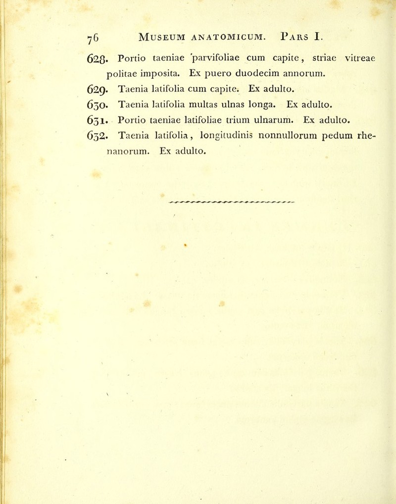 628* Portio taeniae 'parvifoliae cum capite, striae vitreae politae imposita. Ex puero duodecim annorum. 629. Taenia latifolia cum capite. Ex adulto. 630. Taenia latifolia multas ulnas longa. Ex adulto. 631. Portio taeniae latifoliae trium ulnarum. Ex adulto. 632. Taenia latifolia, longitudinis nonnullorum pedum rhe- nanorum. Ex adulto.