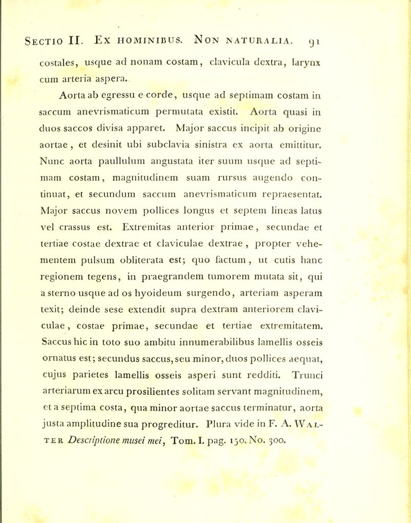 costales, usque ad nonam costam, clavicula dextra, larynx cum arteiia aspera. Aorta ab egressu e corde, usque ad septimam costam in saccum anevrismaticum permutata existit. Aorta quasi in duos saccos divisa apparet. Major saccus incipit ab origine aortae , et desinit ubi subclavia sinistra ex aorta emittitur. Nunc aorta paullulum angustata iter suum usque ad septi- mam costam, magnituclinem suam rursus augendo con- tinuat, et secundum saccum anevrismaticum repraesentat. Major saccus novem pollices longus et septem lineas latus vel crassus est. P^xtremitas anterior primae, secundae et tertiae costae dextrae et claviculae dextrae , propter vehe- mentem pulsum obliterata est; quo factum , ut cutis banc regionem tegens, in praegrandem tumorem mutata sit, qui a sterno usque ad OS hyoideum surgendo, arteriam asperam texit; deinde sese extendit supra dextram anteriorem clavi- culae , costae primae, secundae et tertiae extremitatem. Saccus hie in toto suo ambitu innumerabilibus lamellis osseis ornatus est; secundus saccus,seu minor, duos pollices aequat, cujus parietes lamellis osseis asperi sunt redditi. Trunci arteriarum exarcu prosilientes solitam servant magnitudinem, et a septima costa, qua minor aortae saccus terminatur, aorta justa amplitudine sua progreditur. Plura vide in F. A. Wa l- ter Descn'ptione musei mei, Tom. I. pag. 130. No. 300.